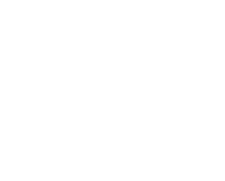 インターナショナルベーシック45th
