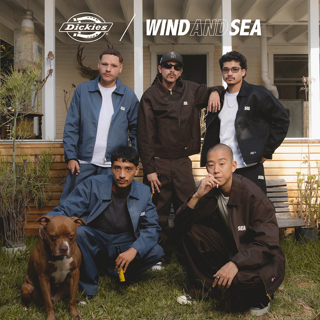 Dickies WINDANDSEA