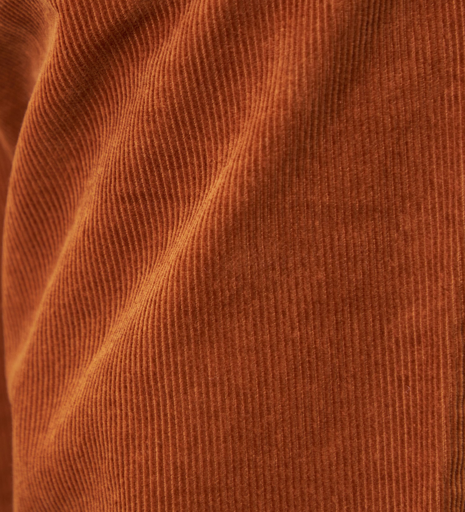 Lee(リー)の【予約P】【暖】AMERICAN STANDARD 102ブーツカット コーデュロイパンツ/コーデュロイセットアップ可|パンツ/パンツ/メンズ|キャメル