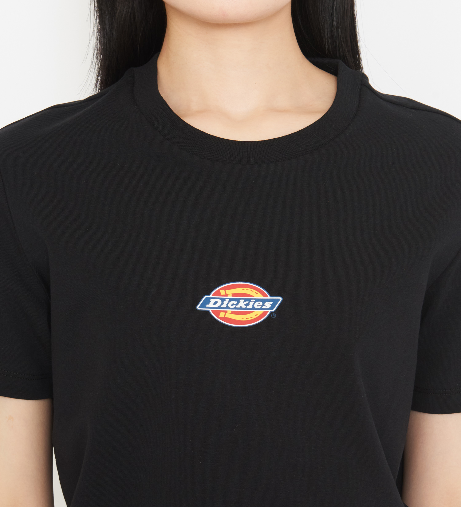 Dickies(ディッキーズ)のメープルバレーTシャツ 半袖|トップス/Tシャツ/カットソー/レディース|ブラック