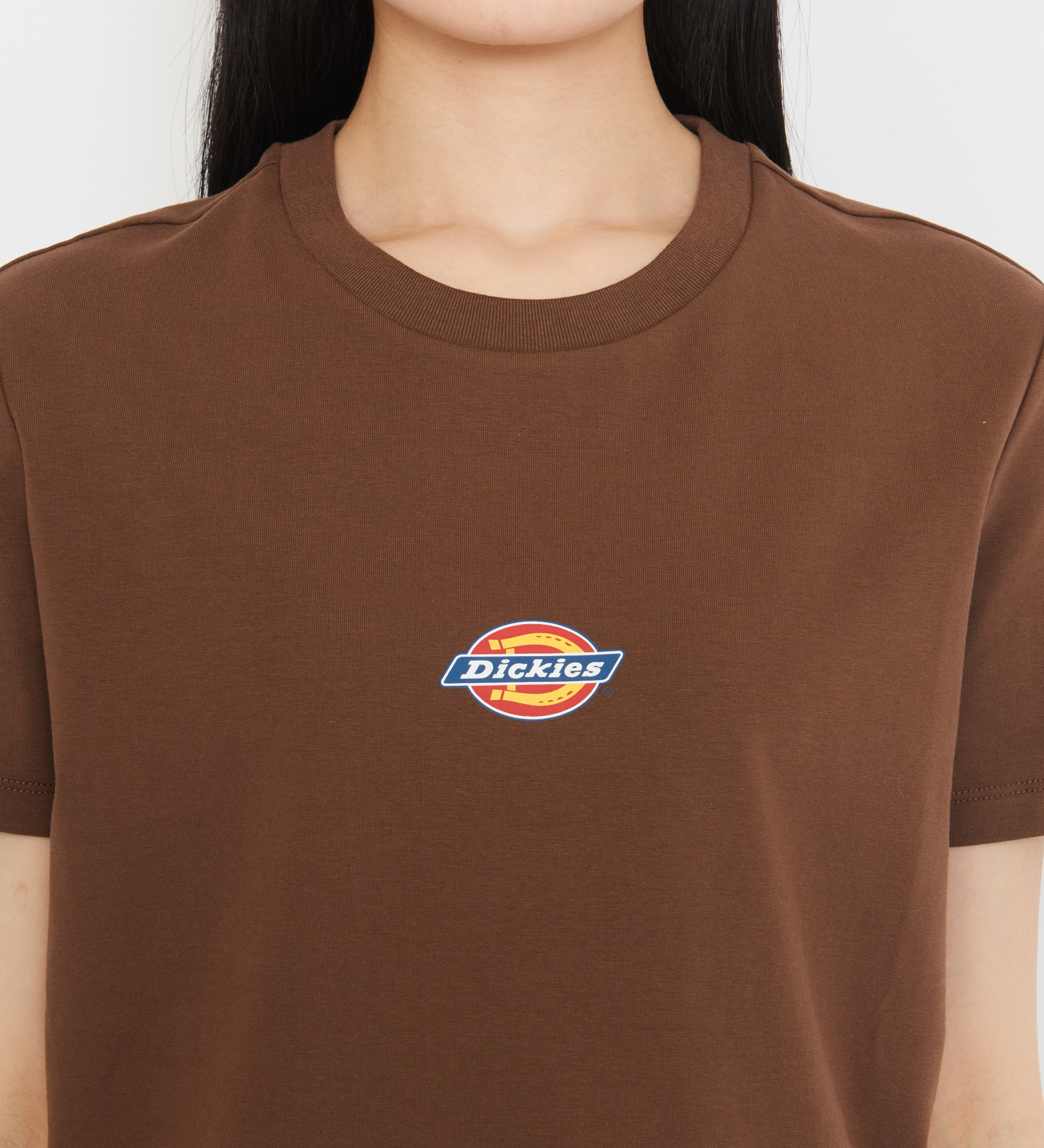 Dickies(ディッキーズ)のメープルバレーTシャツ 半袖|トップス/Tシャツ/カットソー/レディース|ブラウン