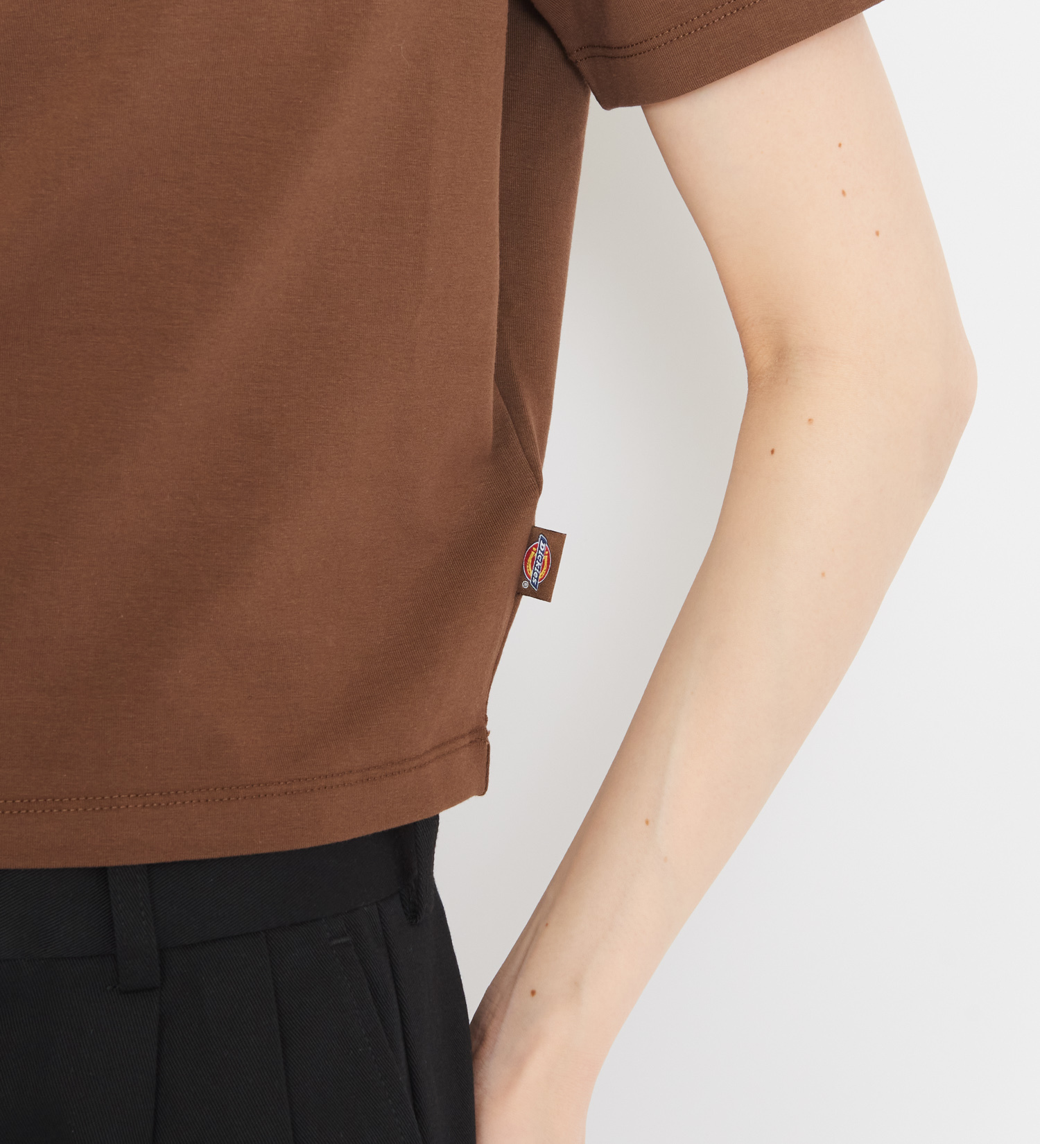 Dickies(ディッキーズ)のメープルバレーTシャツ 半袖|トップス/Tシャツ/カットソー/レディース|ブラウン