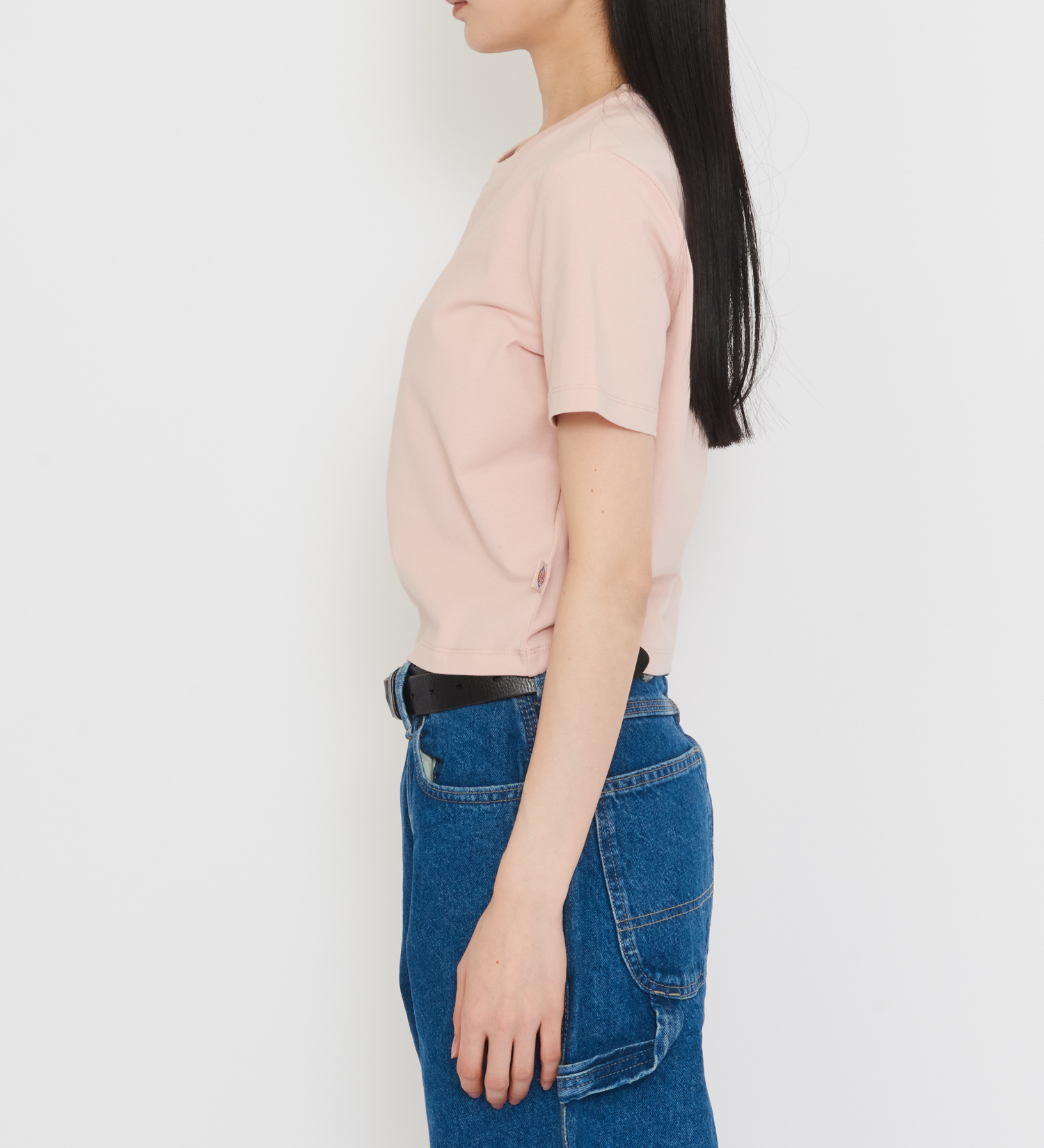 Dickies(ディッキーズ)のメープルバレーTシャツ 半袖|トップス/Tシャツ/カットソー/レディース|ピンク