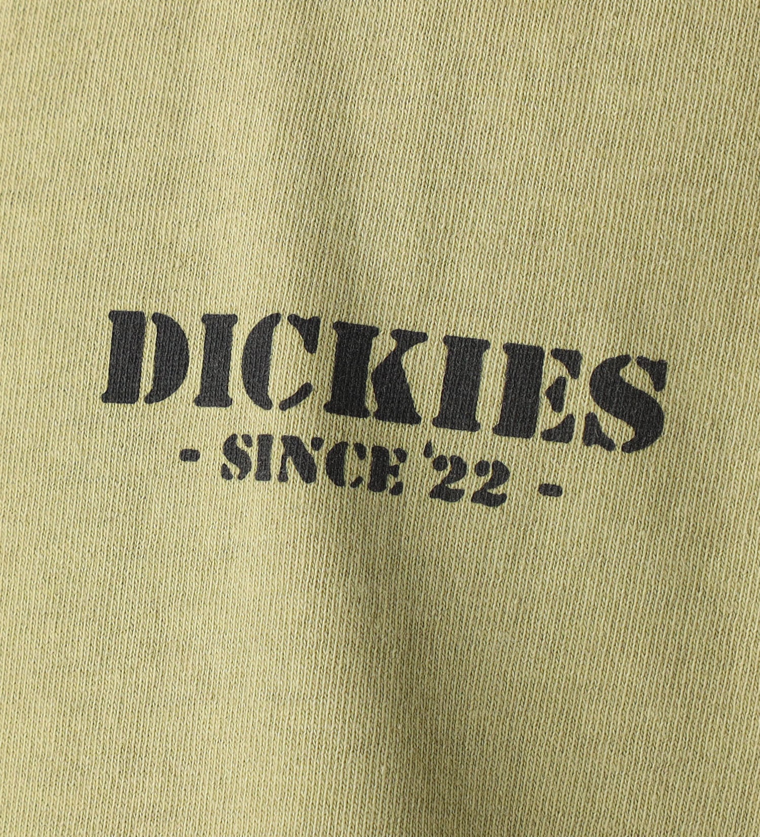 Dickies(ディッキーズ)のロングスリーブグラフィックTシャツ|トップス/Tシャツ/カットソー/メンズ|カーキ