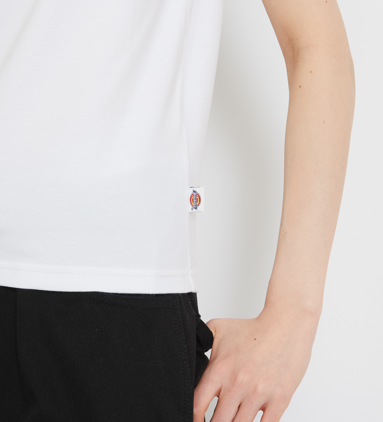 Dickies(ディッキーズ)のダービー ラグランTシャツ 半袖|トップス/Tシャツ/カットソー/レディース|ホワイト