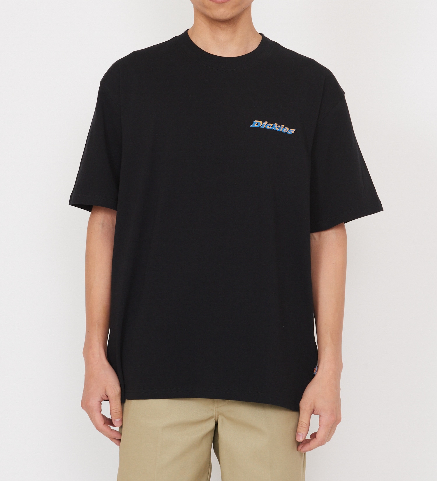 Dickies(ディッキーズ)のソーンヴィルTシャツ 半袖|トップス/Tシャツ/カットソー/メンズ|ブラック