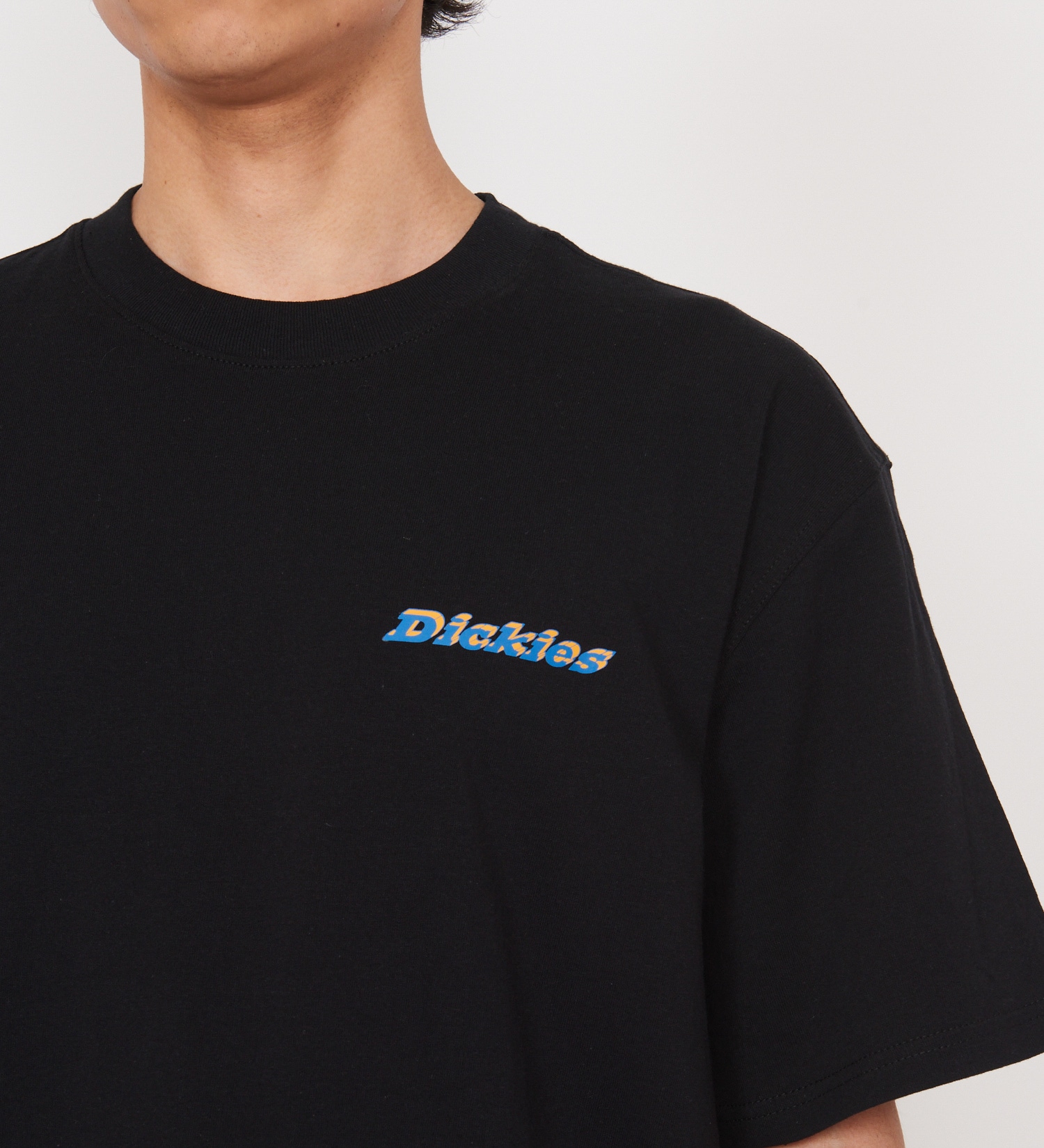 Dickies(ディッキーズ)のソーンヴィルTシャツ 半袖|トップス/Tシャツ/カットソー/メンズ|ブラック