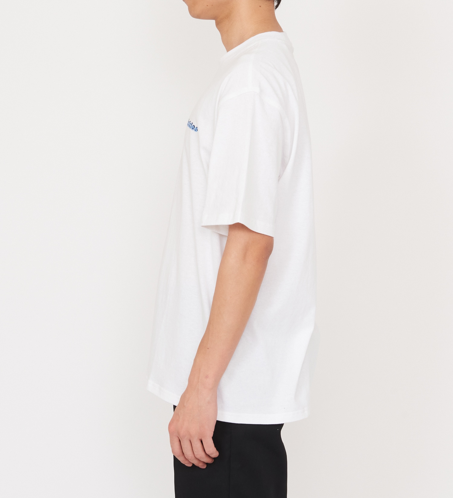 Dickies(ディッキーズ)のソーンヴィルTシャツ 半袖|トップス/Tシャツ/カットソー/メンズ|ホワイト