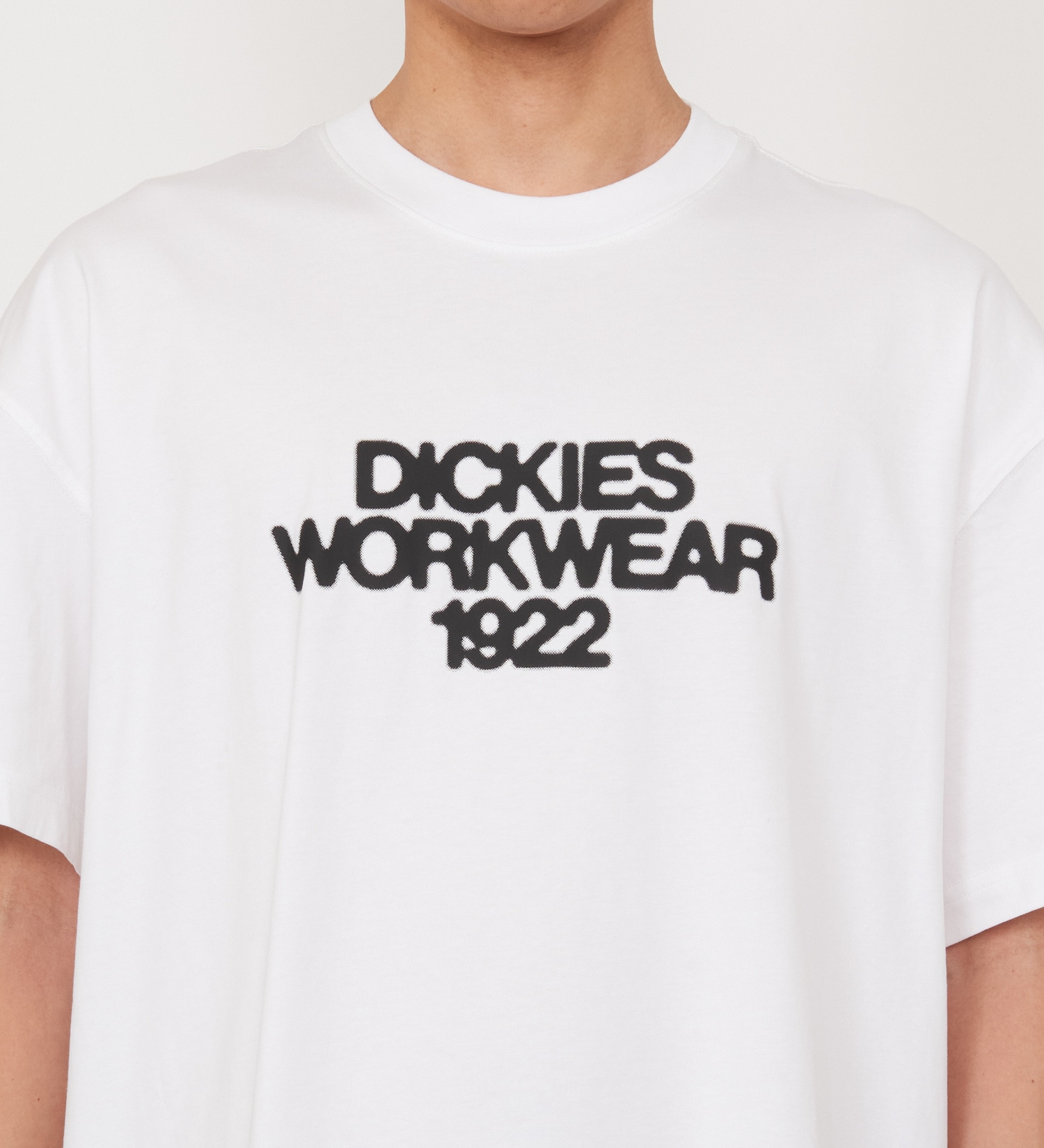 Dickies(ディッキーズ)のトーリーTシャツ 半袖|トップス/Tシャツ/カットソー/メンズ|ホワイト
