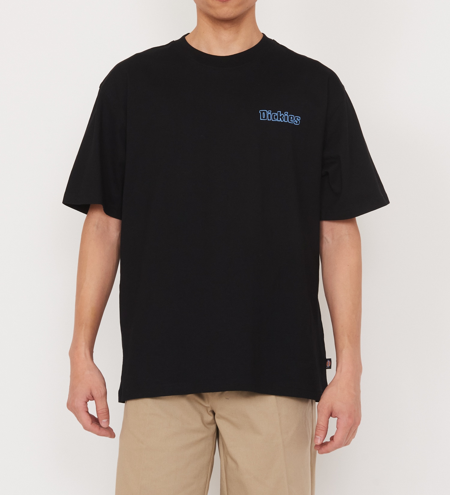 Dickies(ディッキーズ)のフェアローンTシャツ 半袖|トップス/Tシャツ/カットソー/メンズ|ブラック