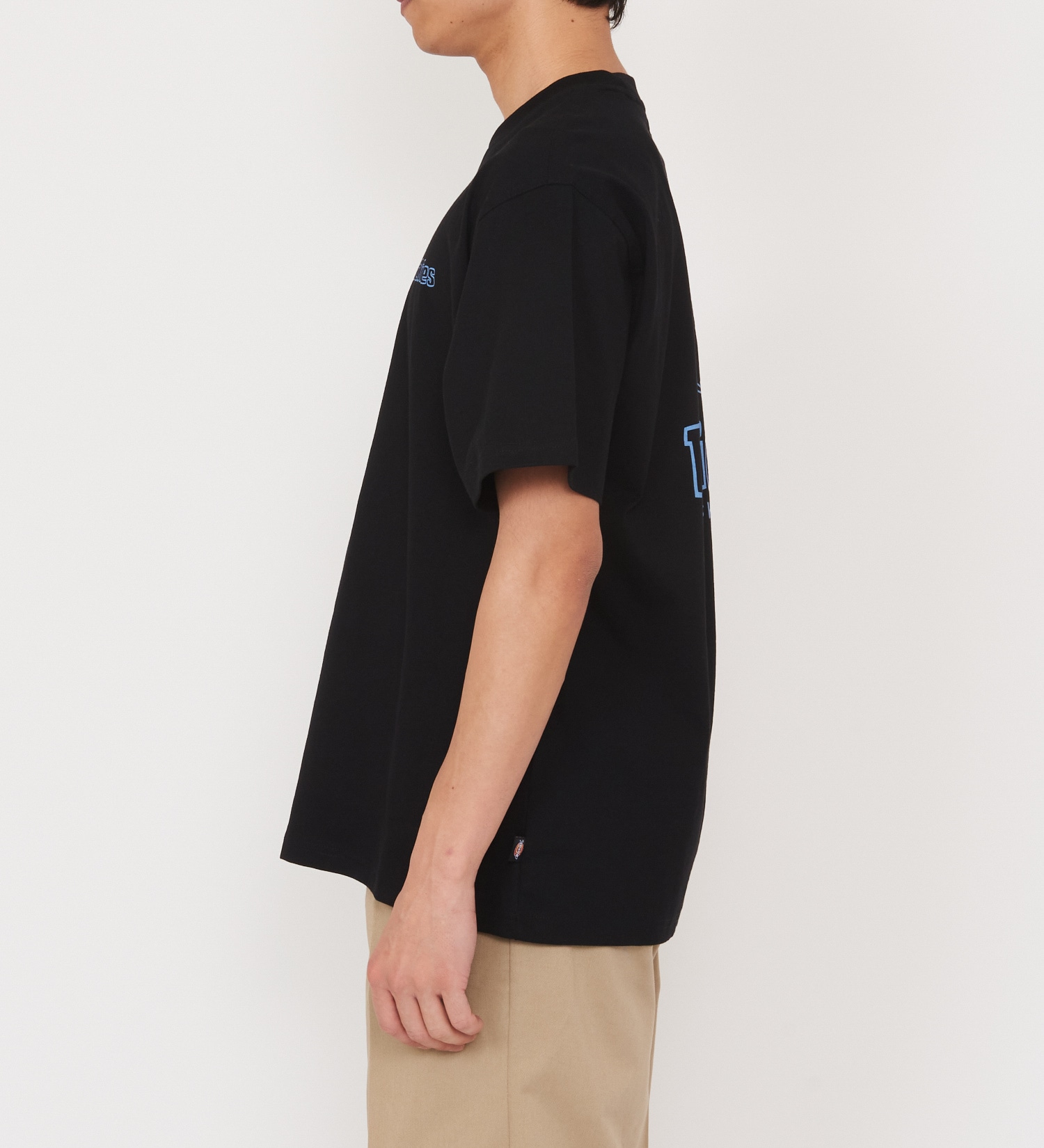 Dickies(ディッキーズ)のフェアローンTシャツ 半袖|トップス/Tシャツ/カットソー/メンズ|ブラック