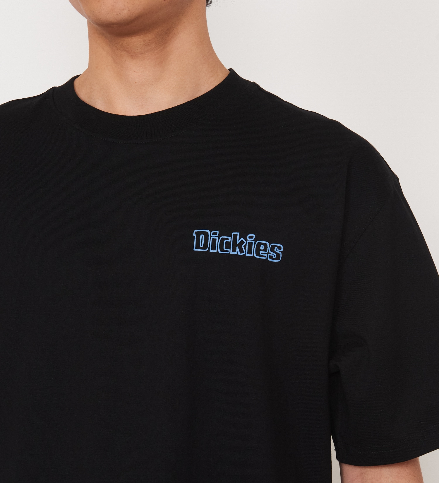 Dickies(ディッキーズ)のフェアローンTシャツ 半袖|トップス/Tシャツ/カットソー/メンズ|ブラック