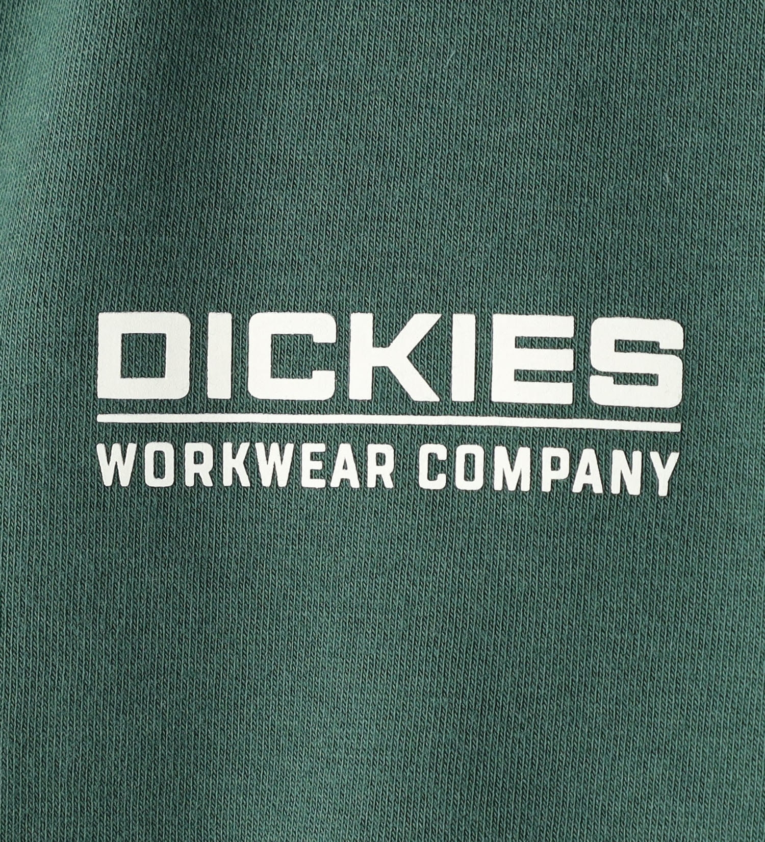 Dickies(ディッキーズ)のグラフィック ジップ フーディー|トップス/パーカー/メンズ|グリーン