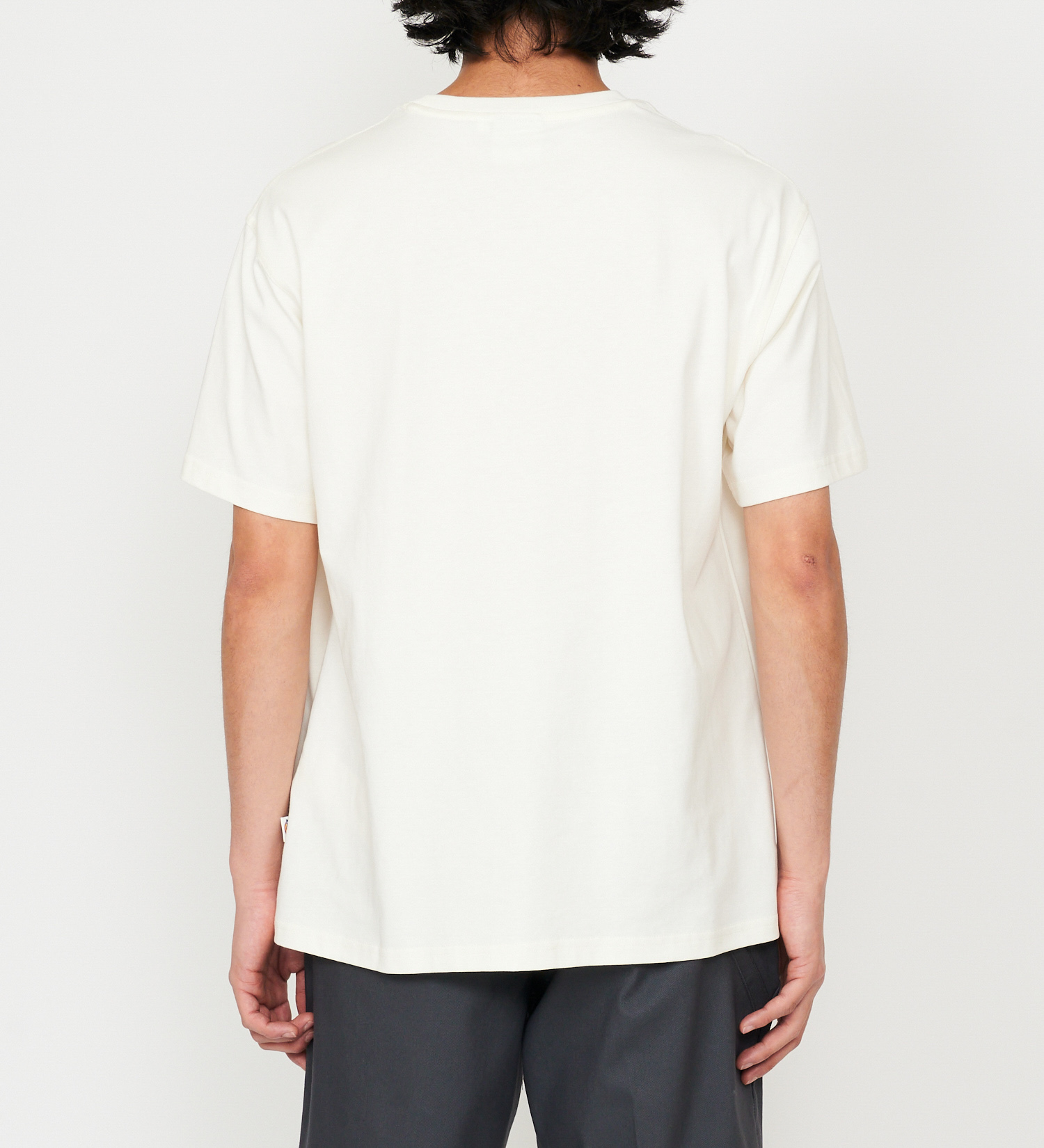 Dickies(ディッキーズ)のメッシュテクスチャ 3Dロゴプリント Tシャツ|トップス/Tシャツ/カットソー/メンズ|ホワイト