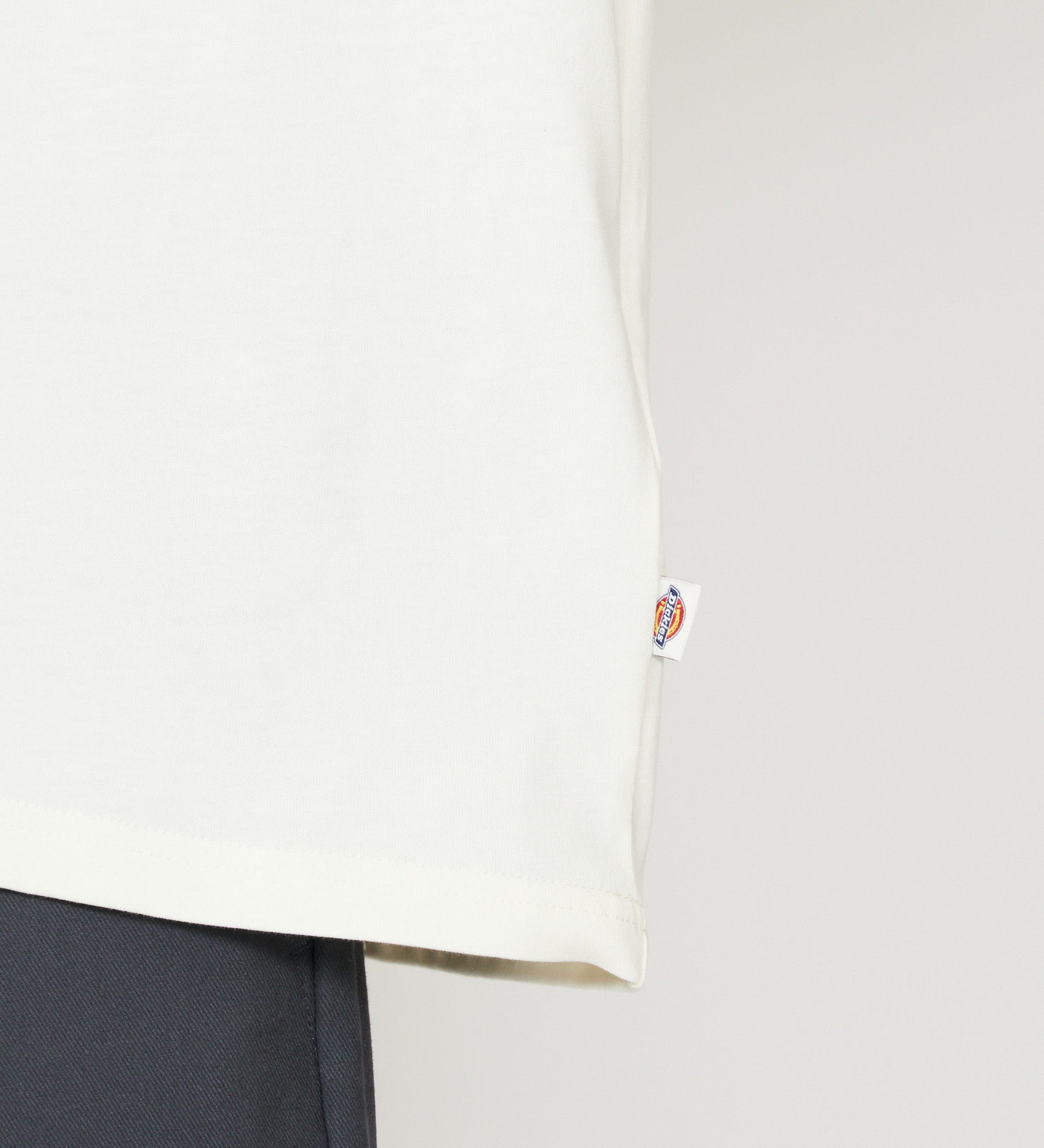 Dickies(ディッキーズ)のメッシュテクスチャ 3Dロゴプリント Tシャツ|トップス/Tシャツ/カットソー/メンズ|ホワイト