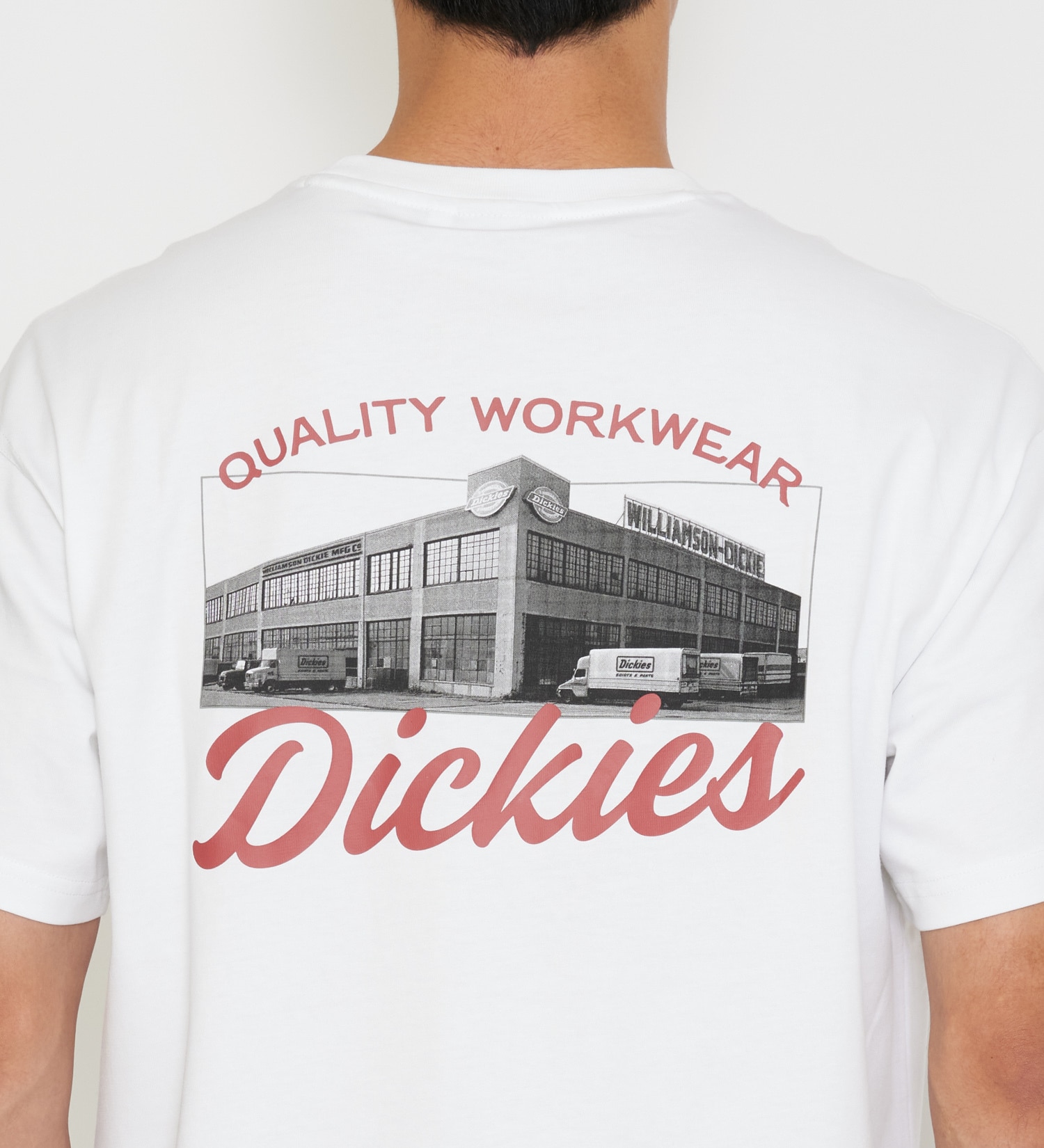 Dickies(ディッキーズ)のグラフィックTシャツ 半袖|トップス/Tシャツ/カットソー/メンズ|ホワイト