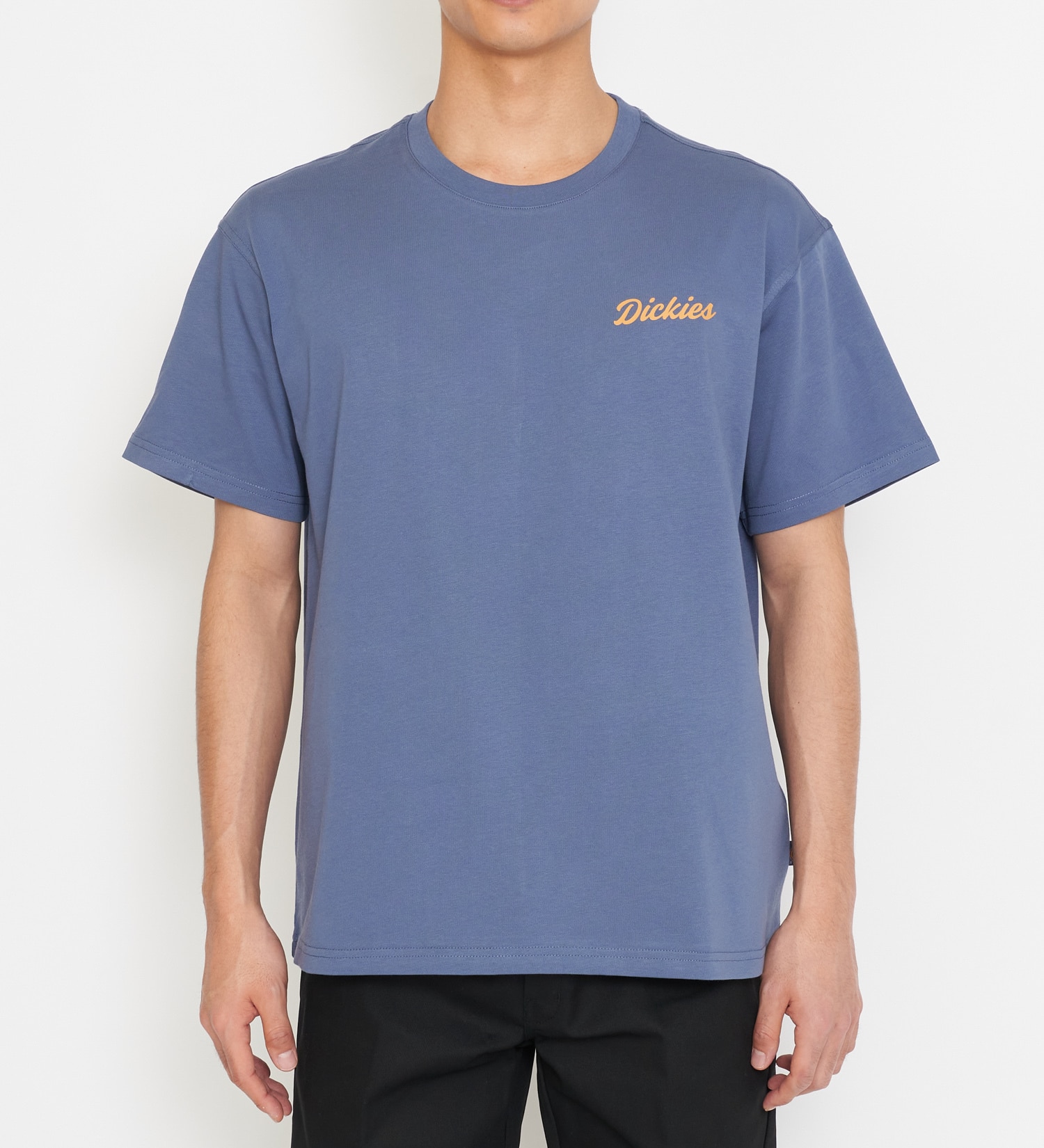 Dickies(ディッキーズ)のグラフィックTシャツ 半袖|トップス/Tシャツ/カットソー/メンズ|ブルー
