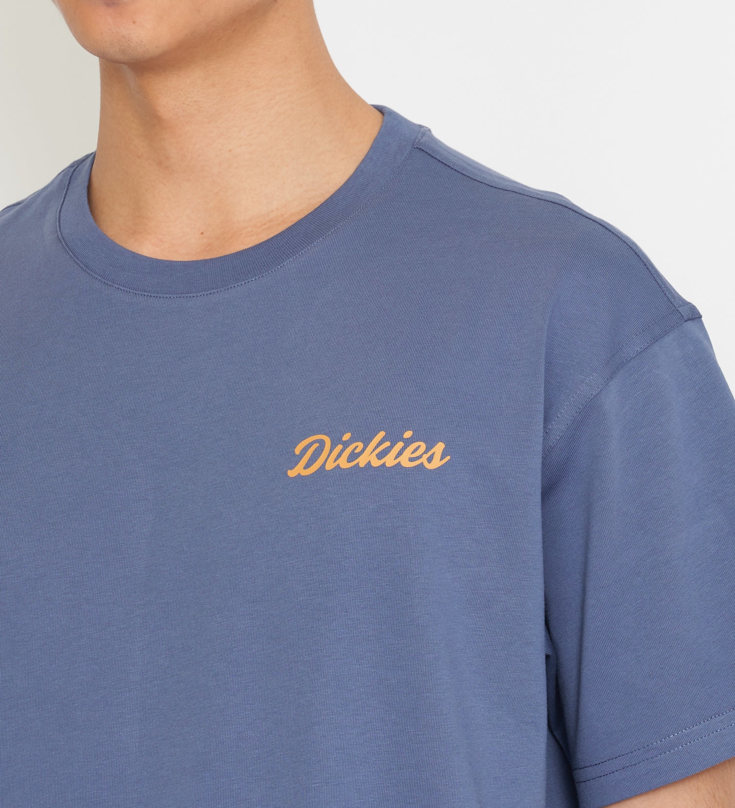 Dickies(ディッキーズ)のグラフィックTシャツ 半袖|トップス/Tシャツ/カットソー/メンズ|ブルー
