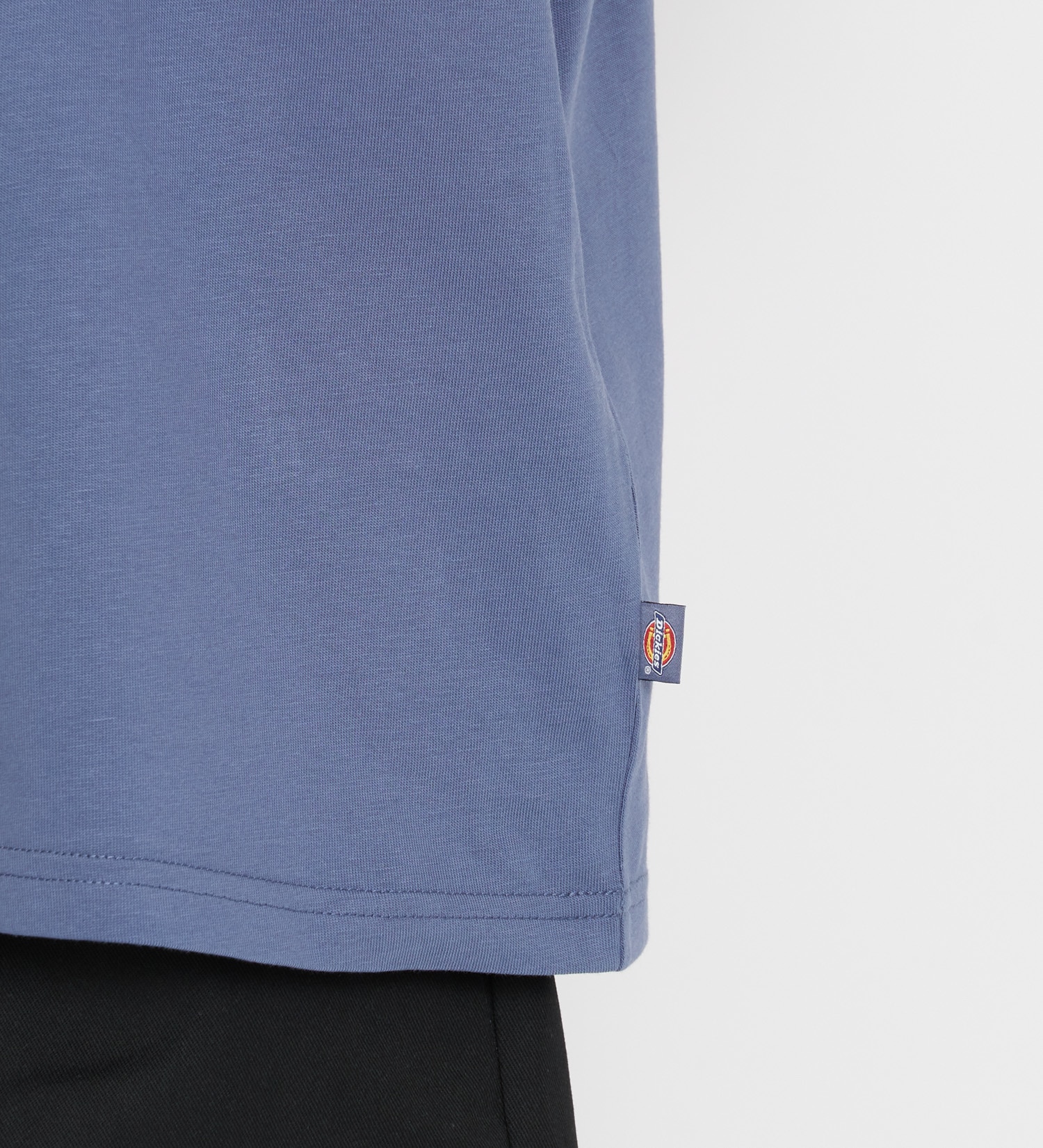 Dickies(ディッキーズ)のグラフィックTシャツ 半袖|トップス/Tシャツ/カットソー/メンズ|ブルー