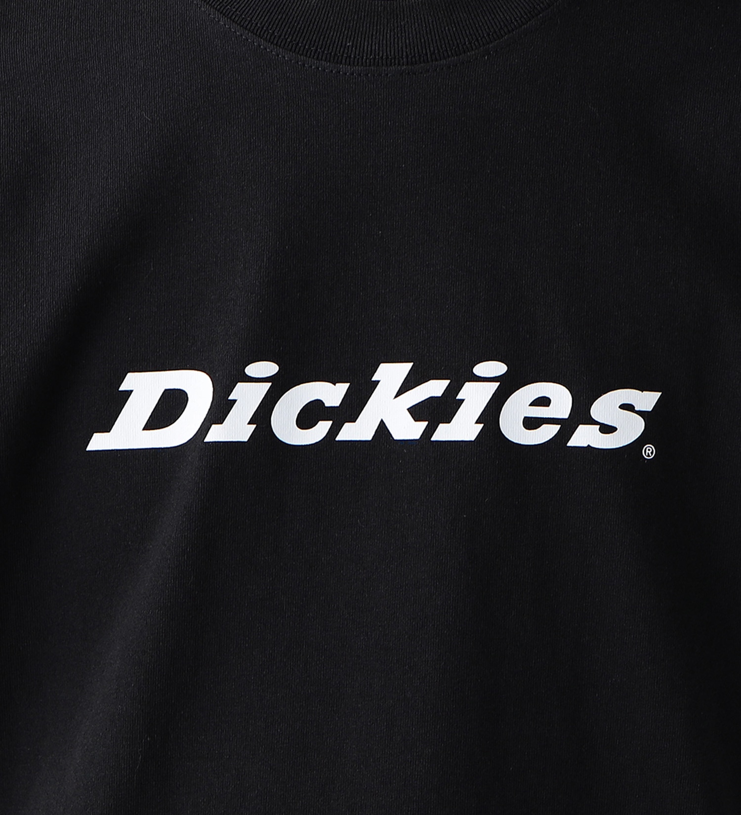 Dickies(ディッキーズ)のフロントロゴプリントTシャツ 半袖|トップス/Tシャツ/カットソー/メンズ|ブラック