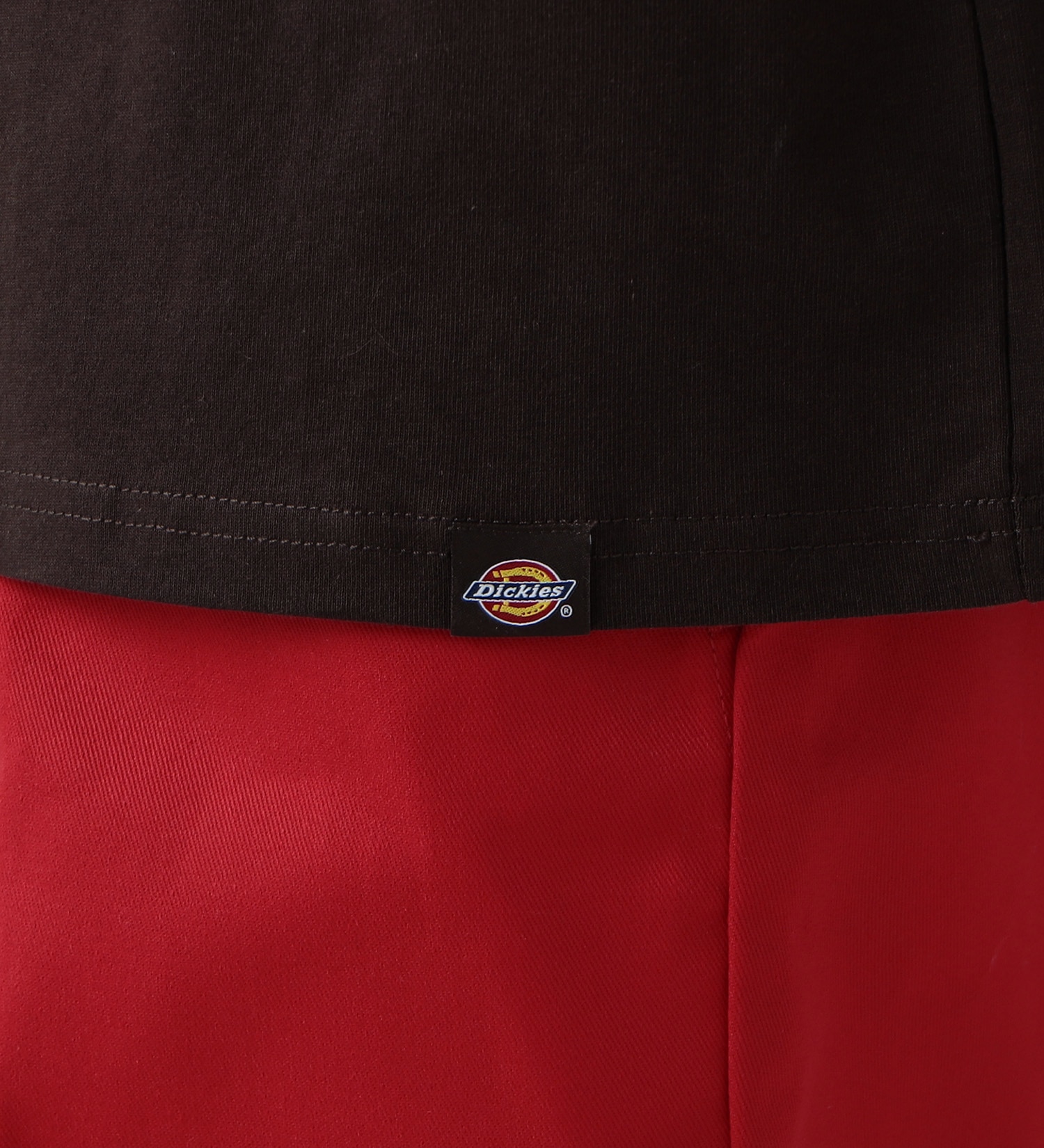 Dickies(ディッキーズ)の【SUMMER SALE】DickiesxESOW 半袖Tシャツ(tacos)|トップス/Tシャツ/カットソー/メンズ|ブラウン