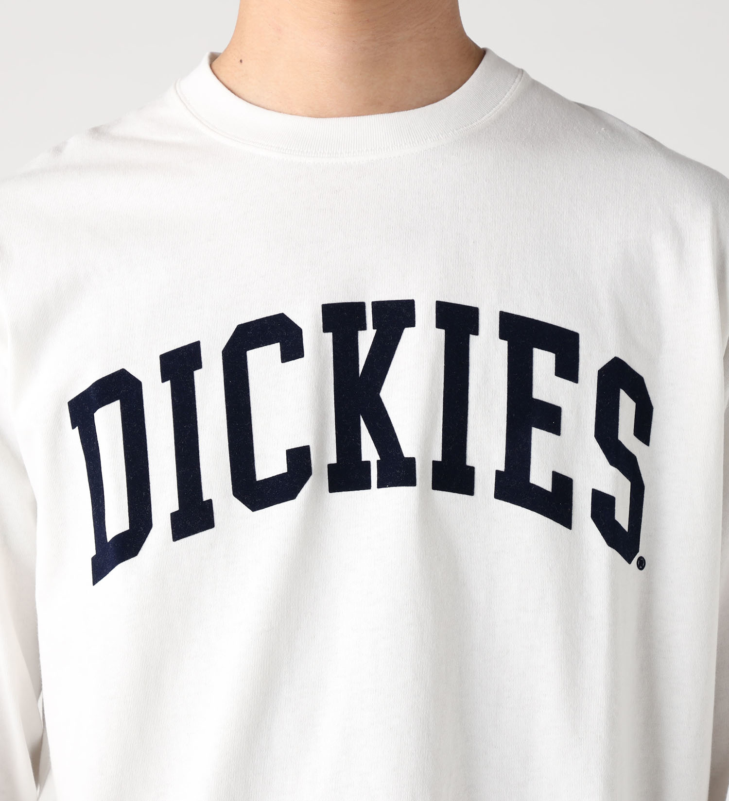 Dickies(ディッキーズ)のアーチロゴ ロングスリーブTシャツ|トップス/Tシャツ/カットソー/メンズ|ホワイト