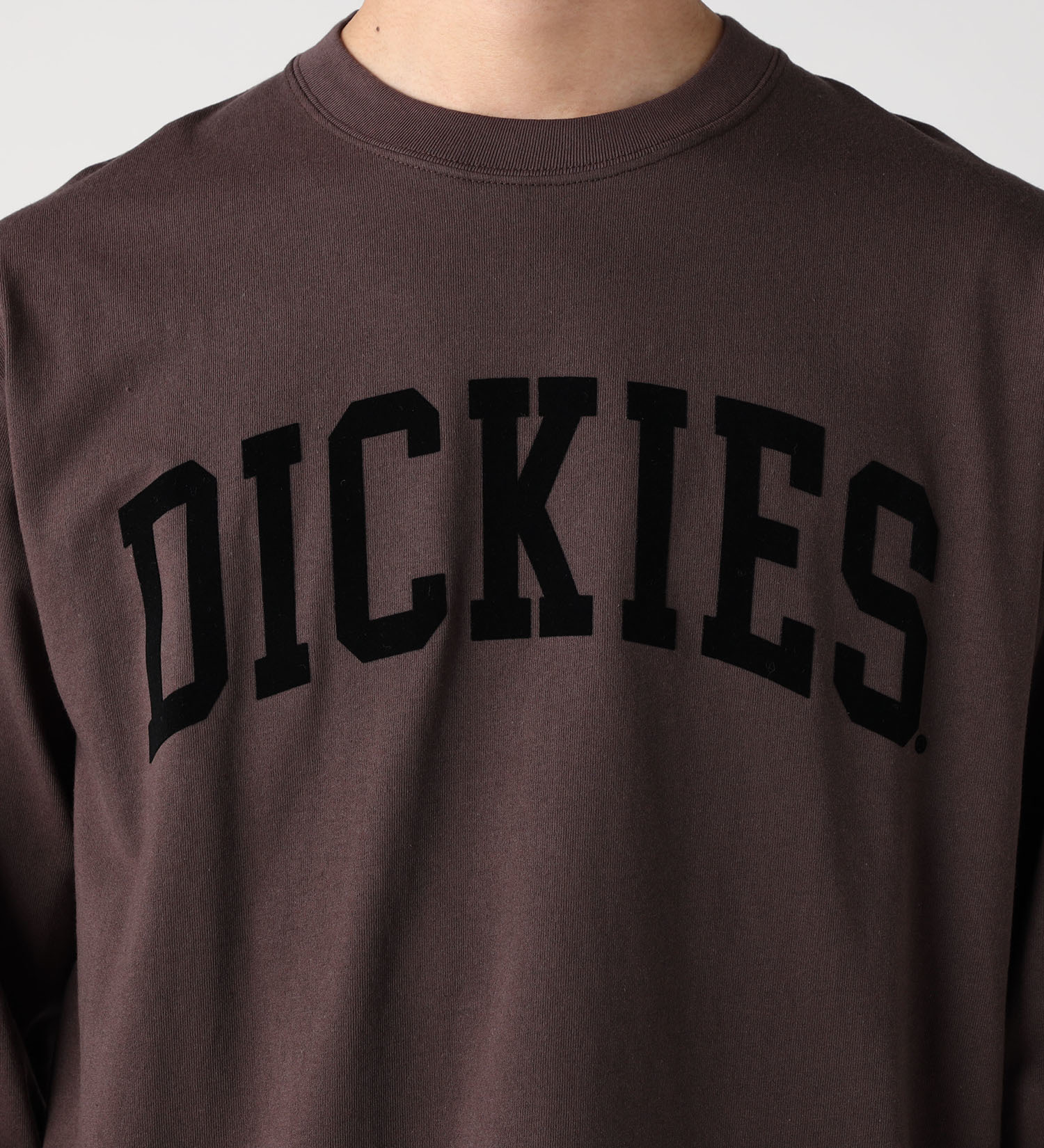 Dickies(ディッキーズ)のアーチロゴ ロングスリーブTシャツ|トップス/Tシャツ/カットソー/メンズ|ダークブラウン