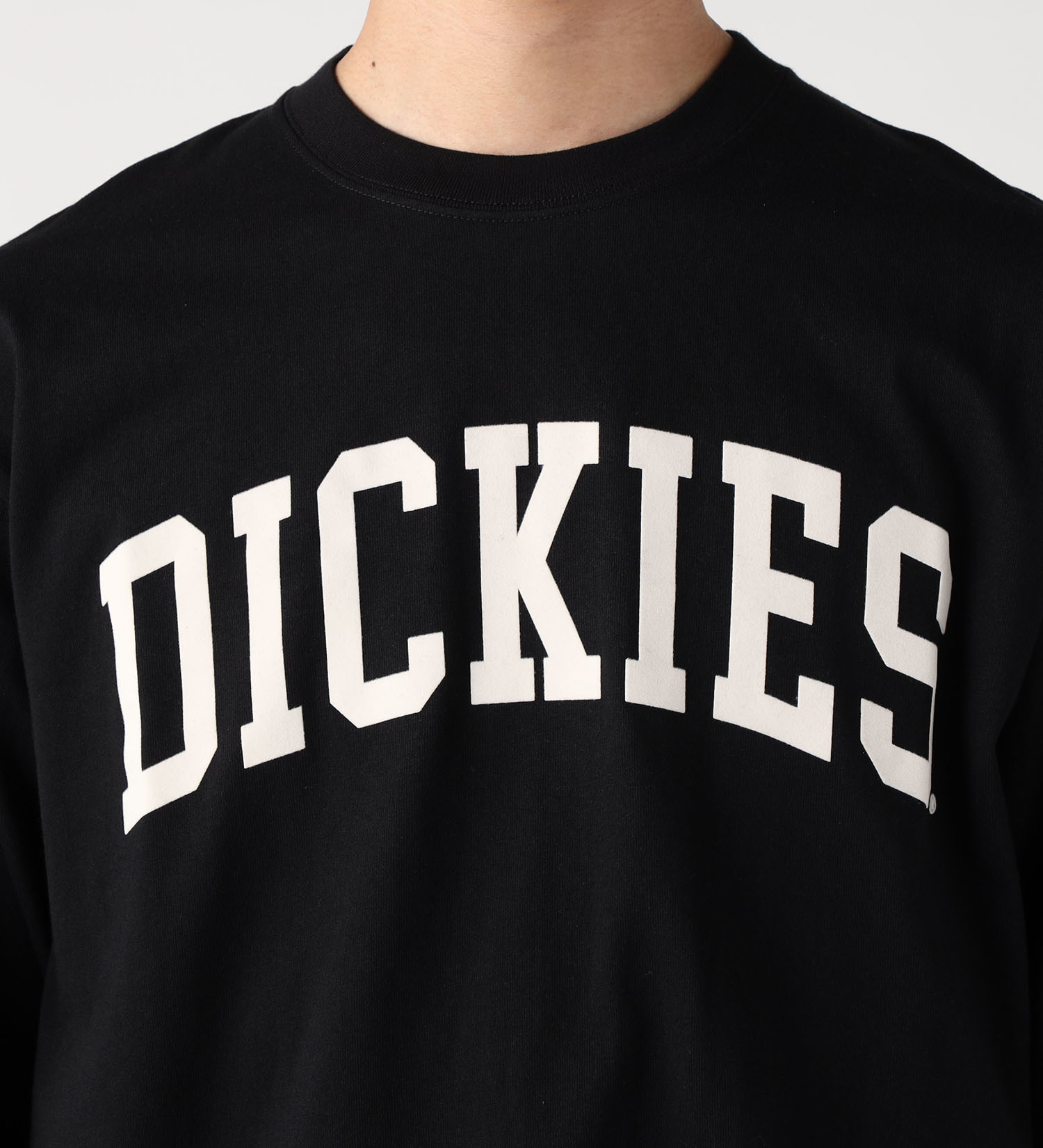 Dickies(ディッキーズ)のアーチロゴ ロングスリーブTシャツ|トップス/Tシャツ/カットソー/メンズ|ブラック