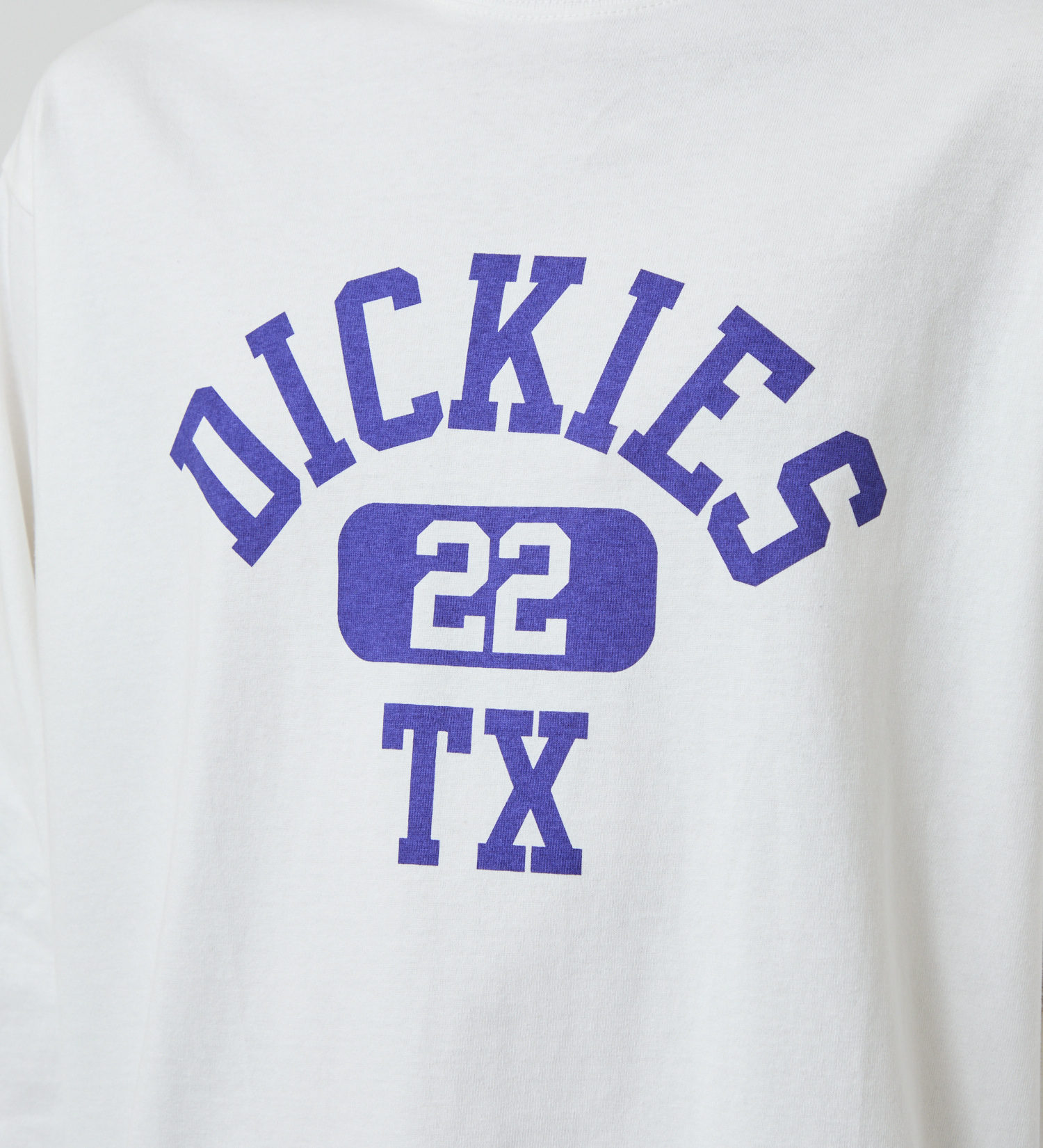 Dickies(ディッキーズ)のアーチロゴロングスリーブTシャツ|トップス/Tシャツ/カットソー/メンズ|ホワイト