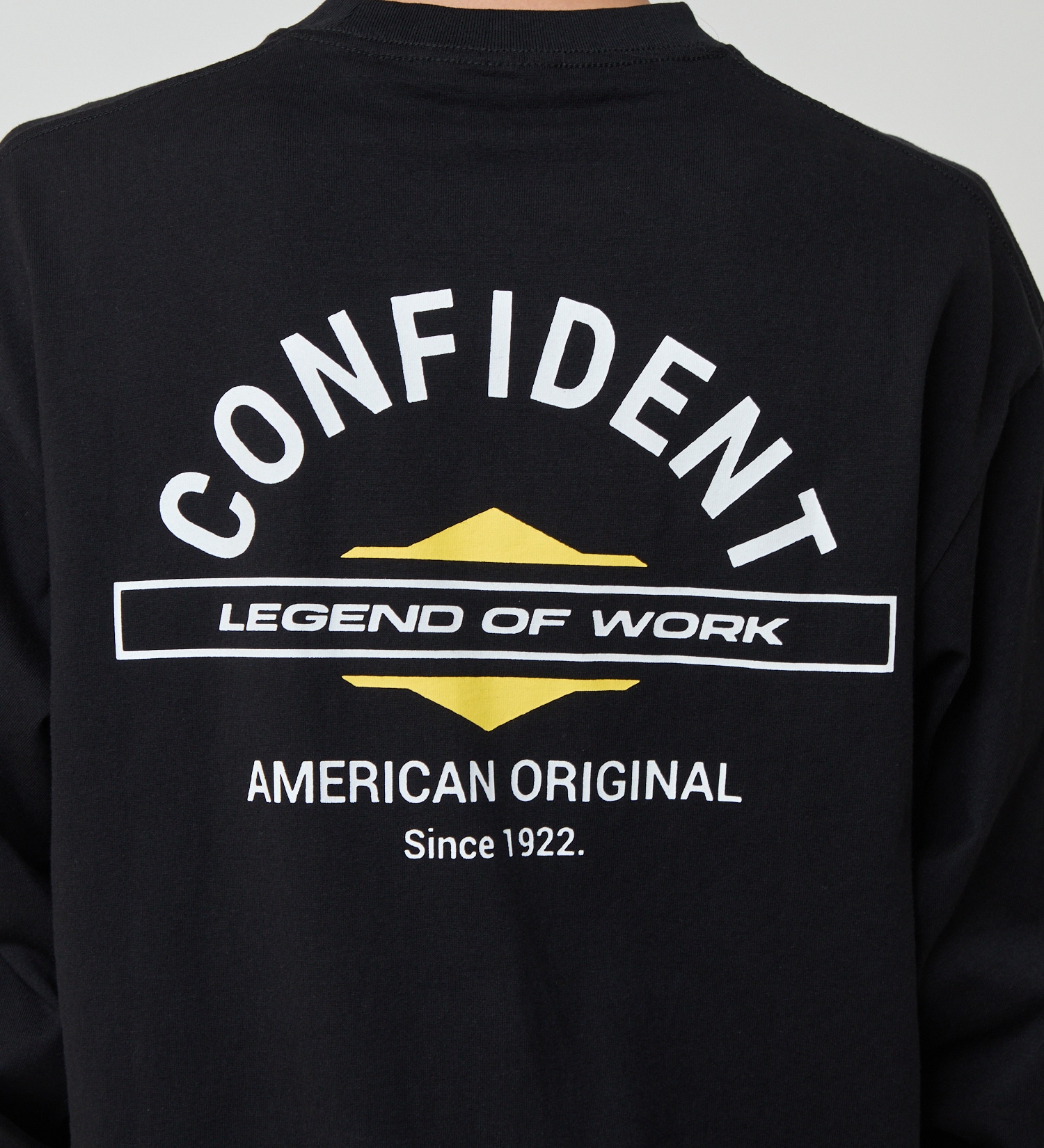 Dickies(ディッキーズ)のバックプリントロングスリーブTシャツ|トップス/Tシャツ/カットソー/メンズ|ブラック