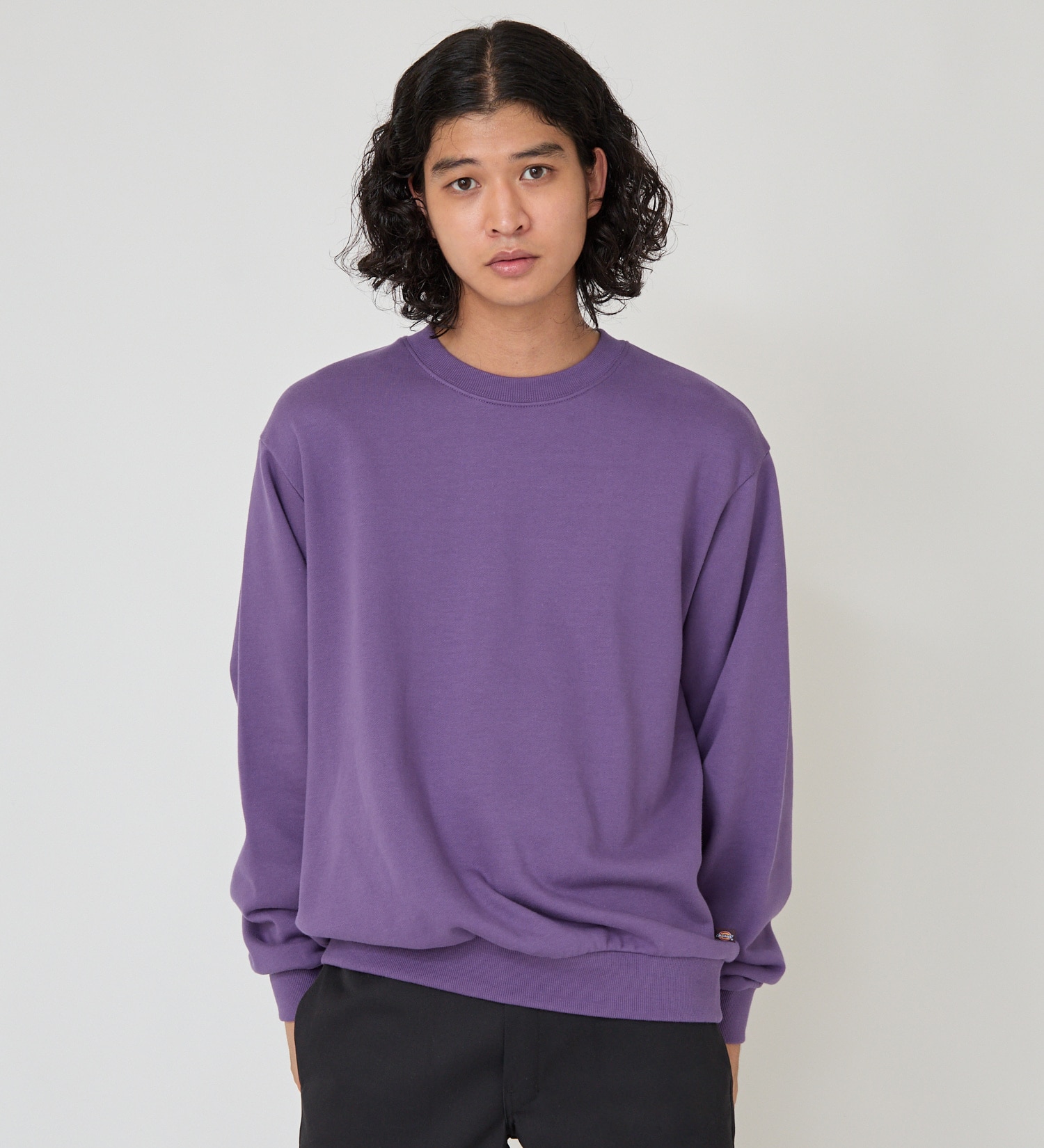 Dickies(ディッキーズ)のプレーンスウェット|トップス/スウェット/メンズ|パープル