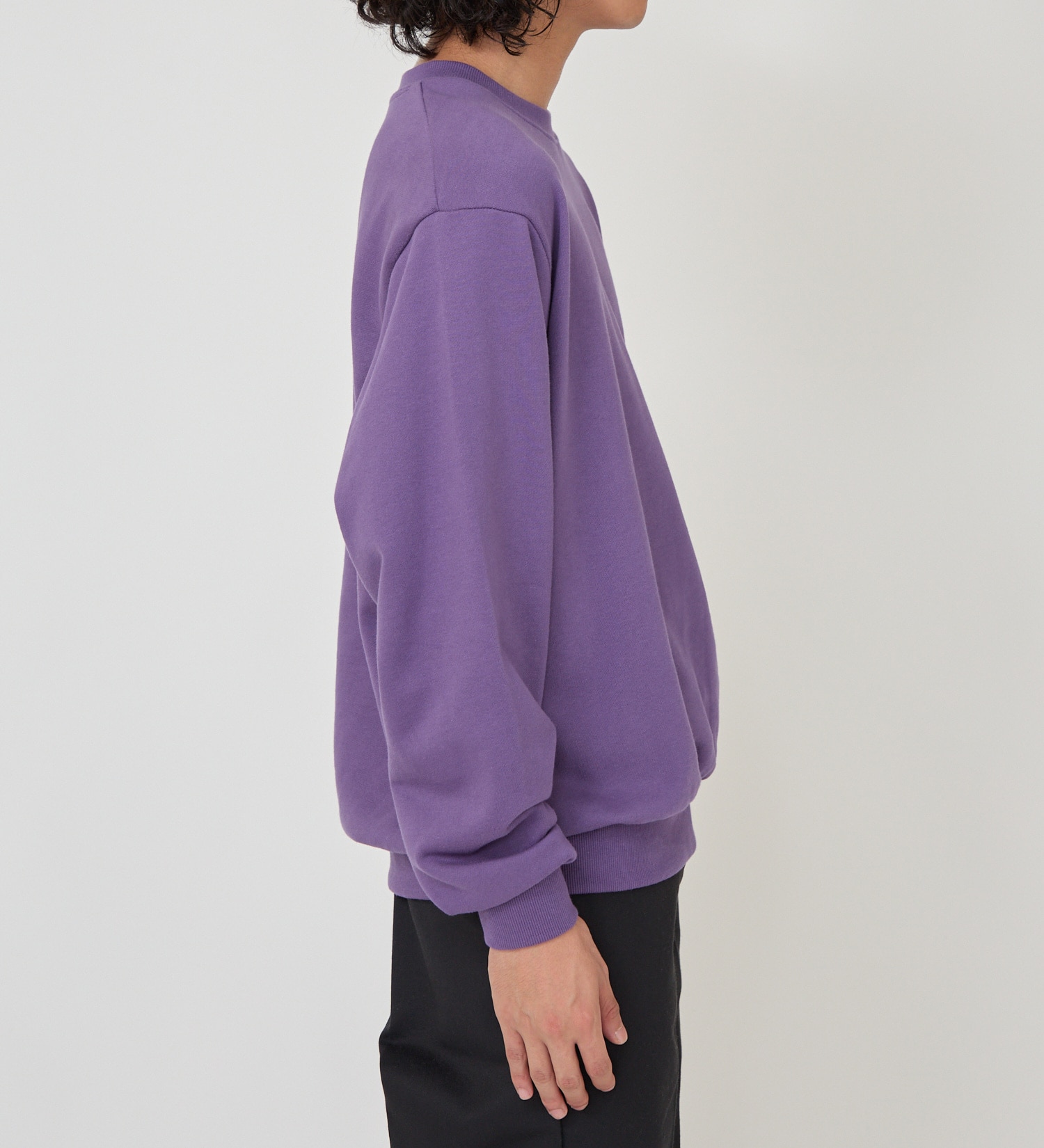 Dickies(ディッキーズ)のプレーンスウェット|トップス/スウェット/メンズ|パープル