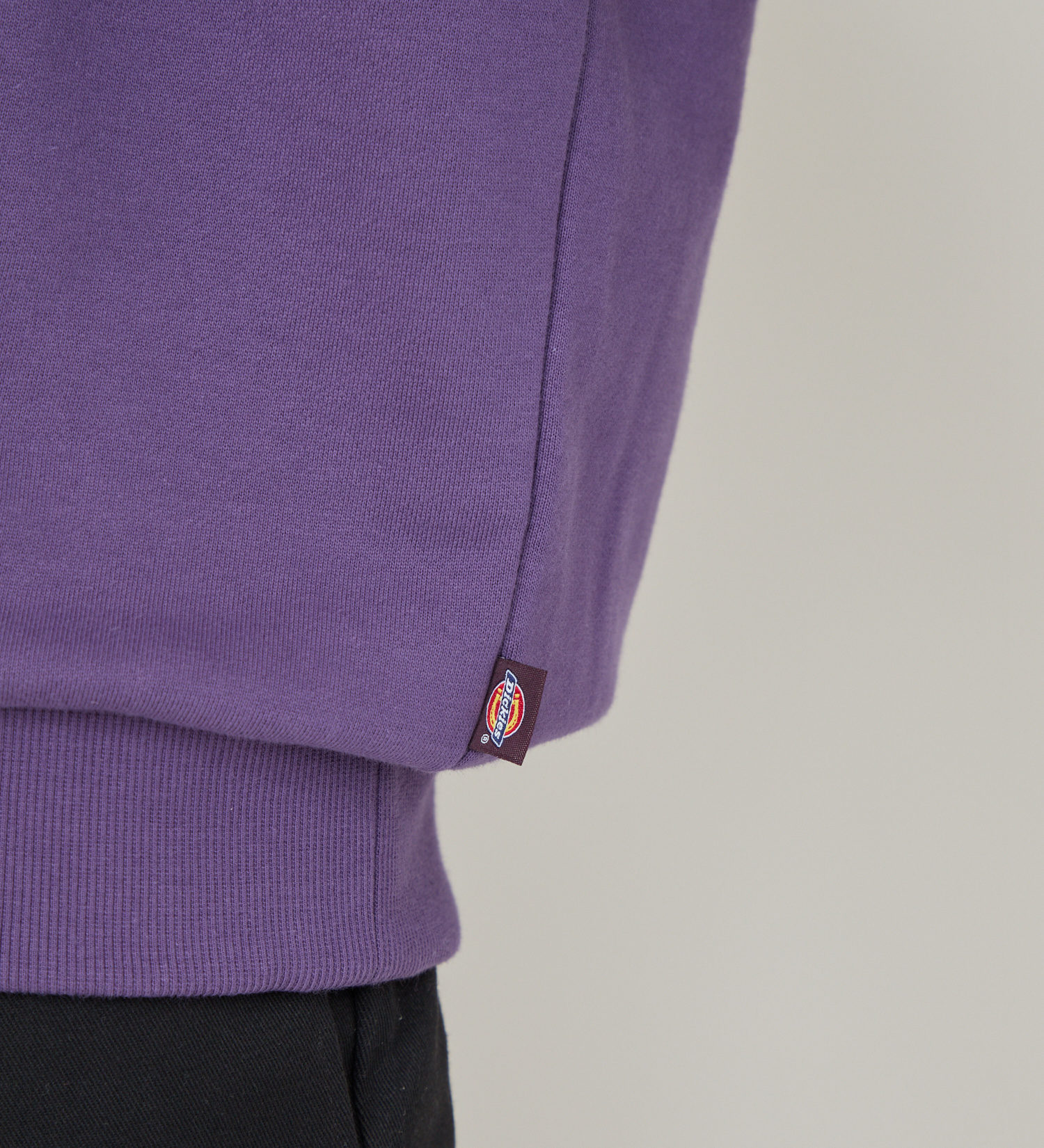 Dickies(ディッキーズ)のプレーンスウェット|トップス/スウェット/メンズ|パープル