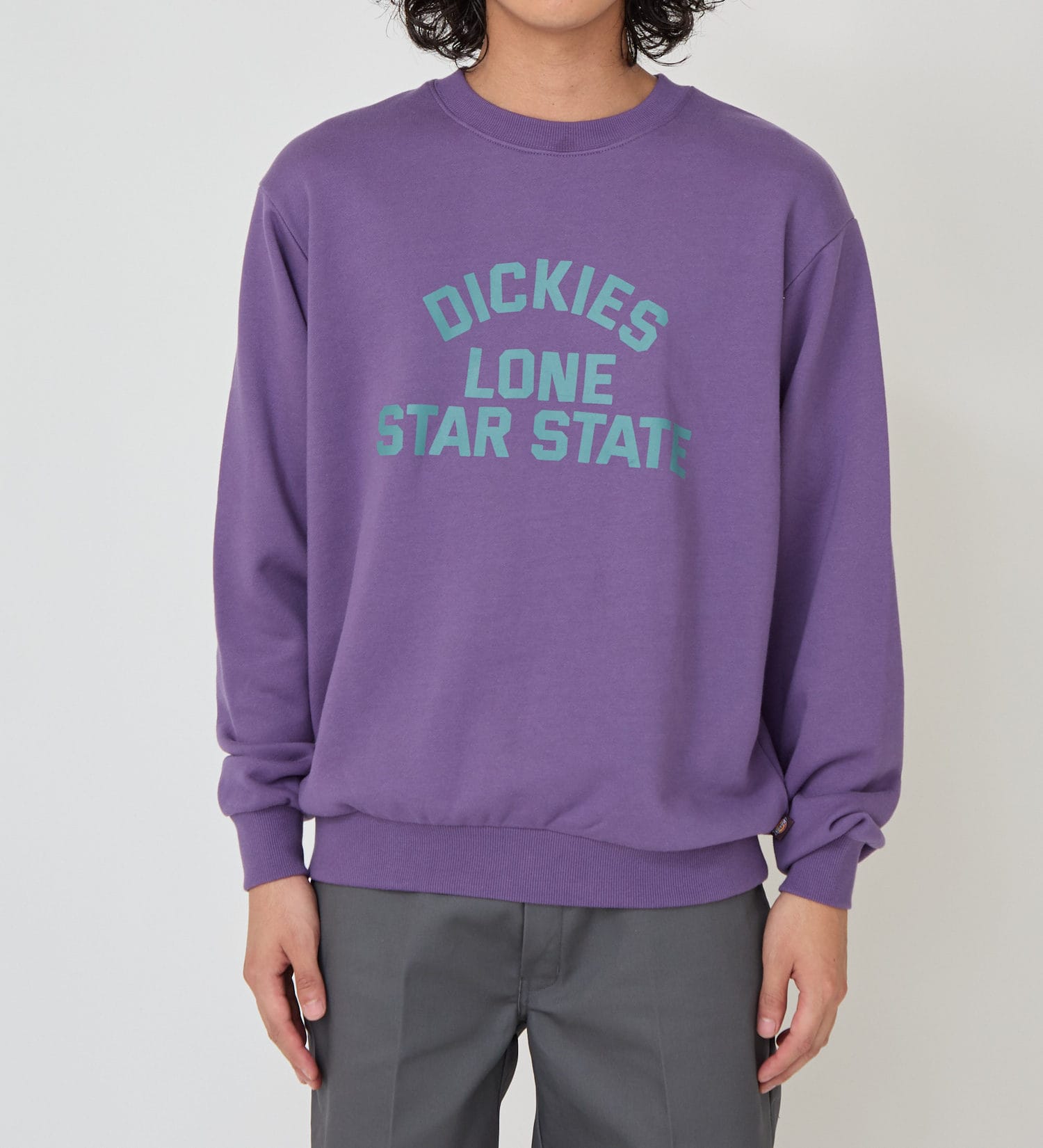 Dickies(ディッキーズ)のカレッジスウェット|トップス/スウェット/メンズ|パープル