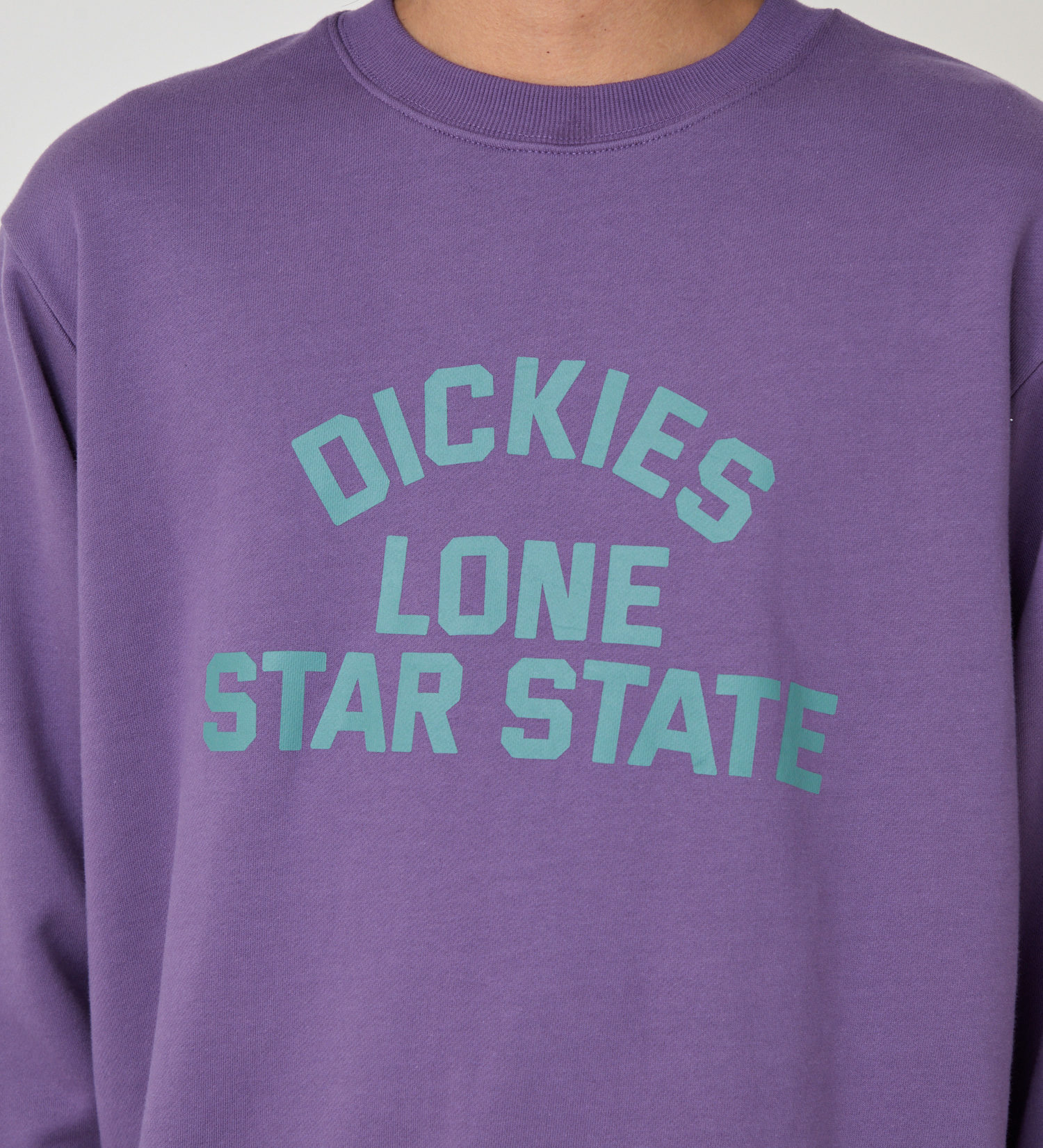 Dickies(ディッキーズ)のカレッジスウェット|トップス/スウェット/メンズ|パープル