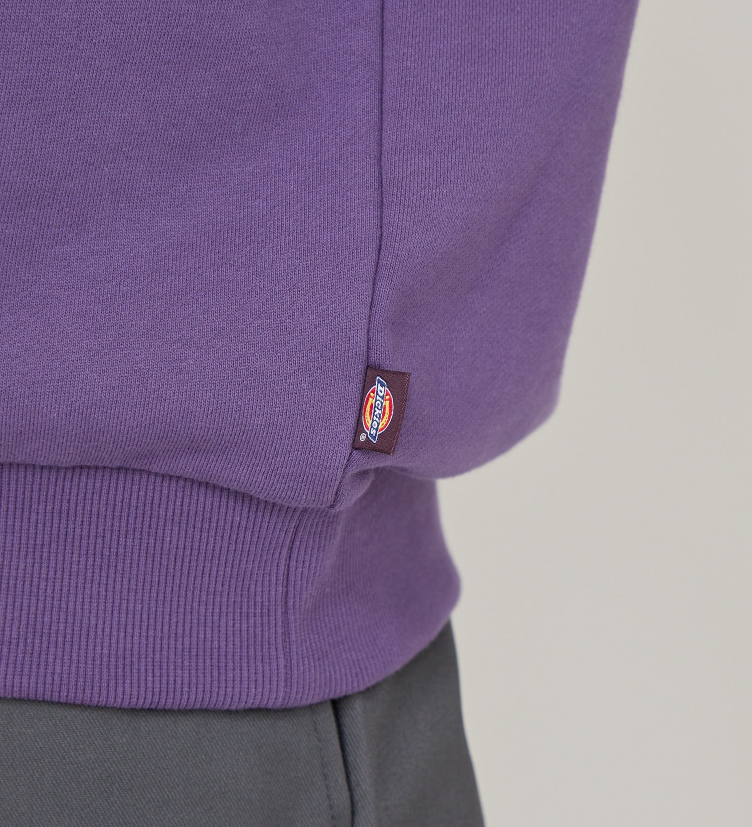 Dickies(ディッキーズ)のカレッジスウェット|トップス/スウェット/メンズ|パープル