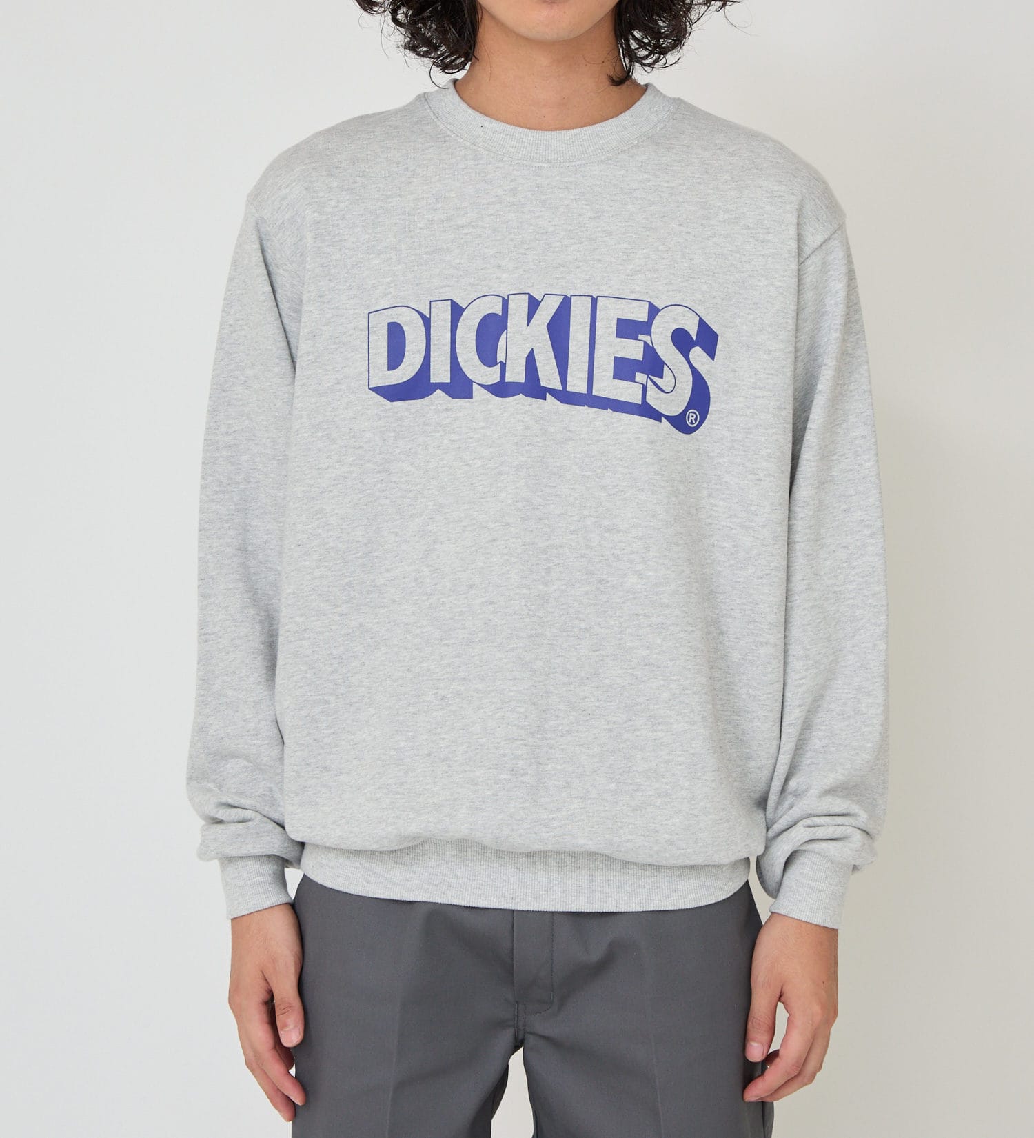 Dickies(ディッキーズ)のロゴプリントスウェット|トップス/スウェット/メンズ|ヘザ-グレー