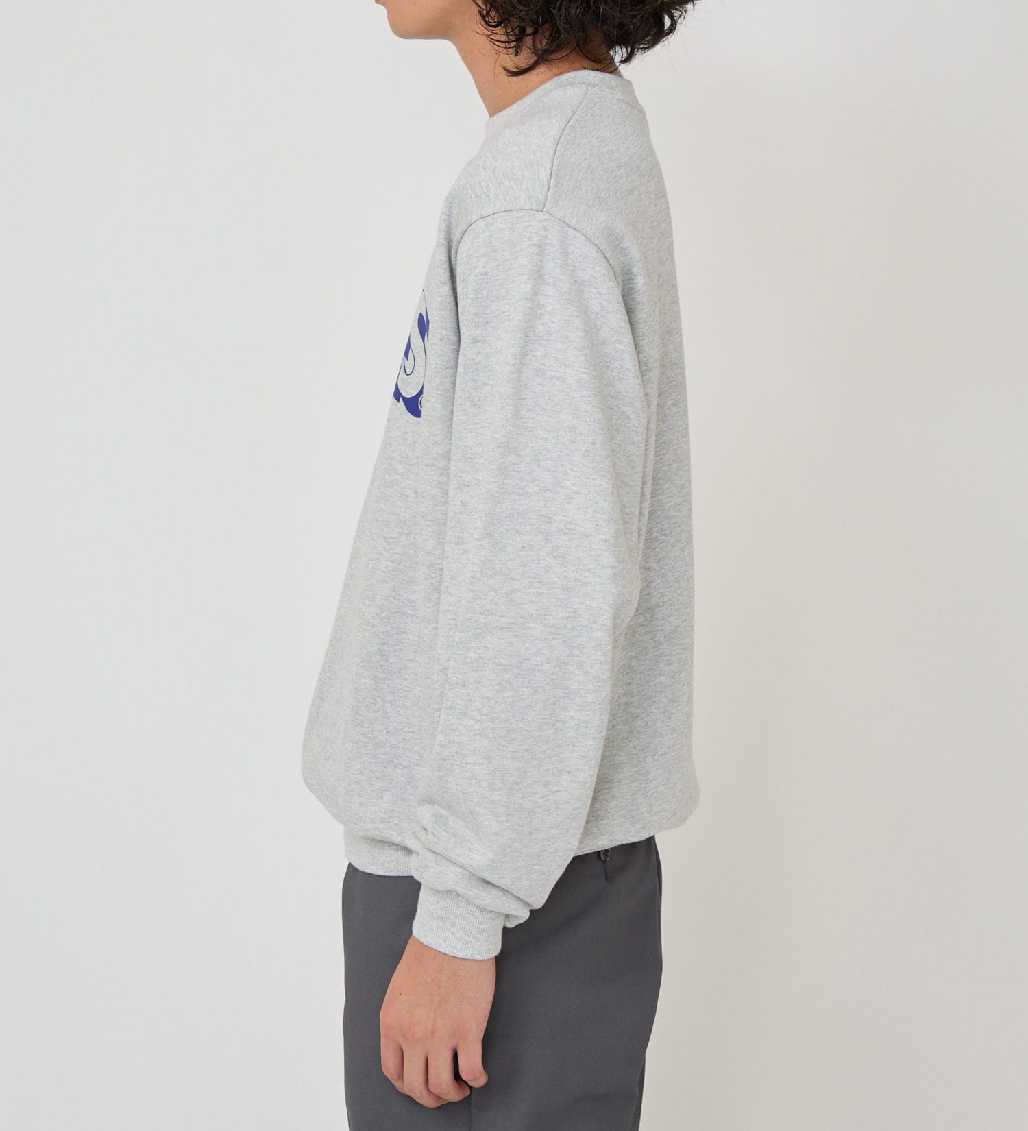 Dickies(ディッキーズ)のロゴプリントスウェット|トップス/スウェット/メンズ|ヘザ-グレー