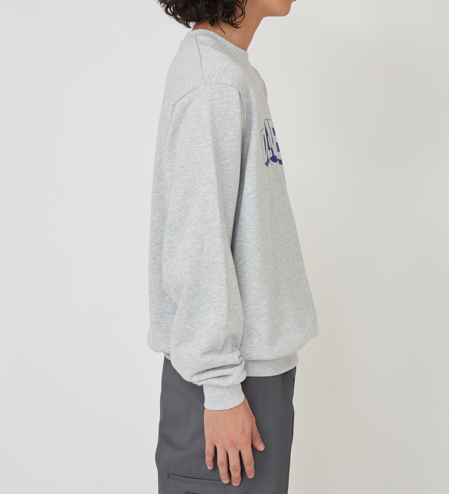 Dickies(ディッキーズ)のロゴプリントスウェット|トップス/スウェット/メンズ|ヘザ-グレー