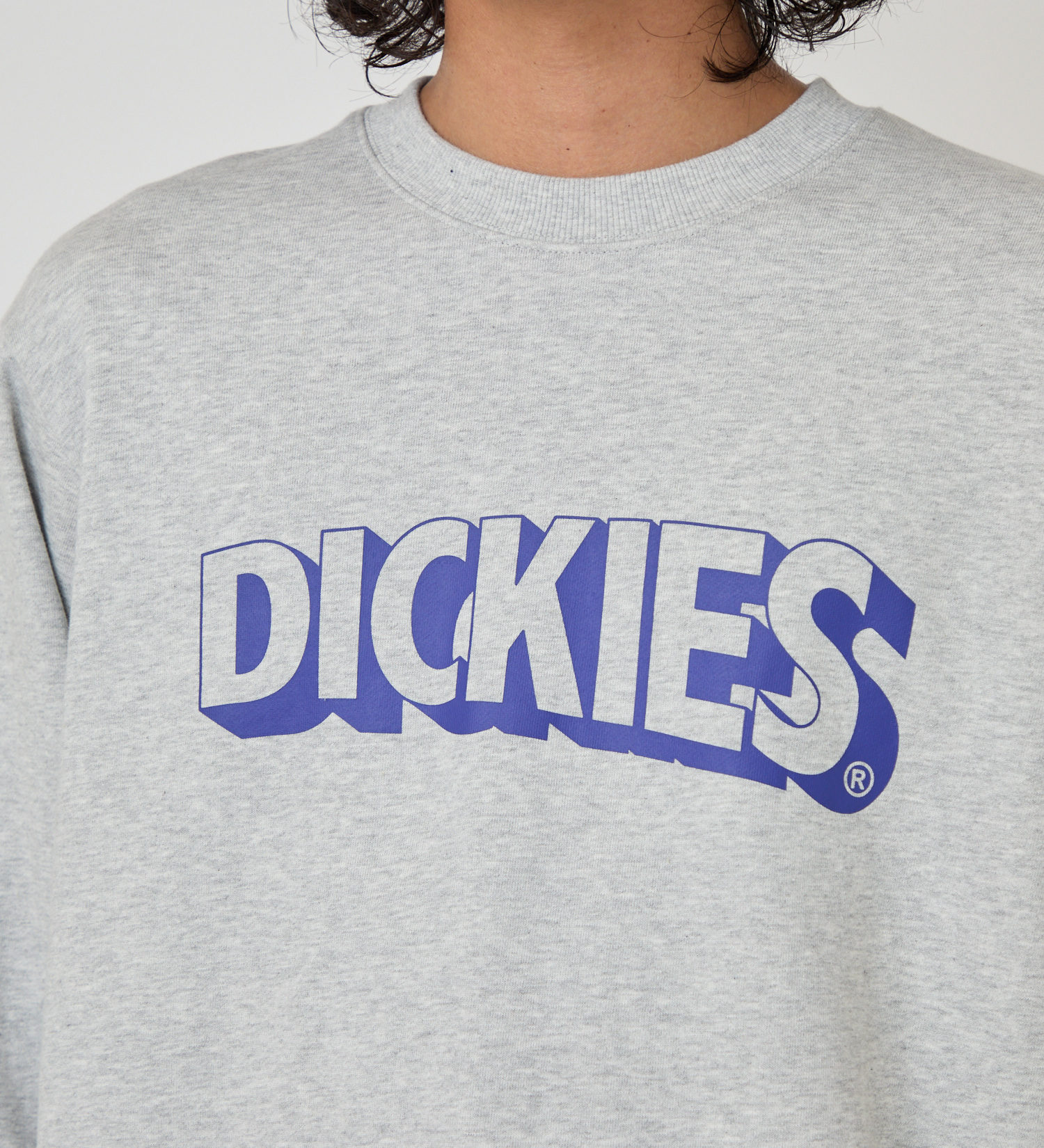 Dickies(ディッキーズ)のロゴプリントスウェット|トップス/スウェット/メンズ|ヘザ-グレー