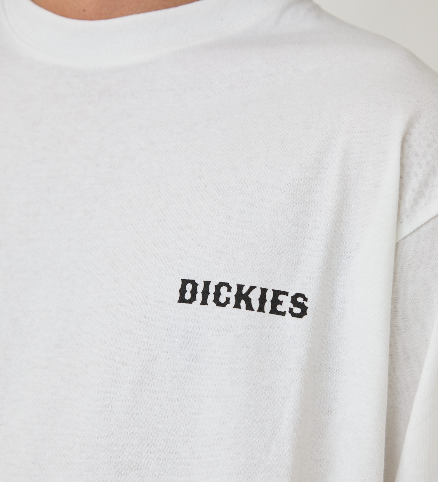 Dickies(ディッキーズ)のグラフィックロングスリーブTシャツA-2|トップス/Tシャツ/カットソー/メンズ|ホワイト