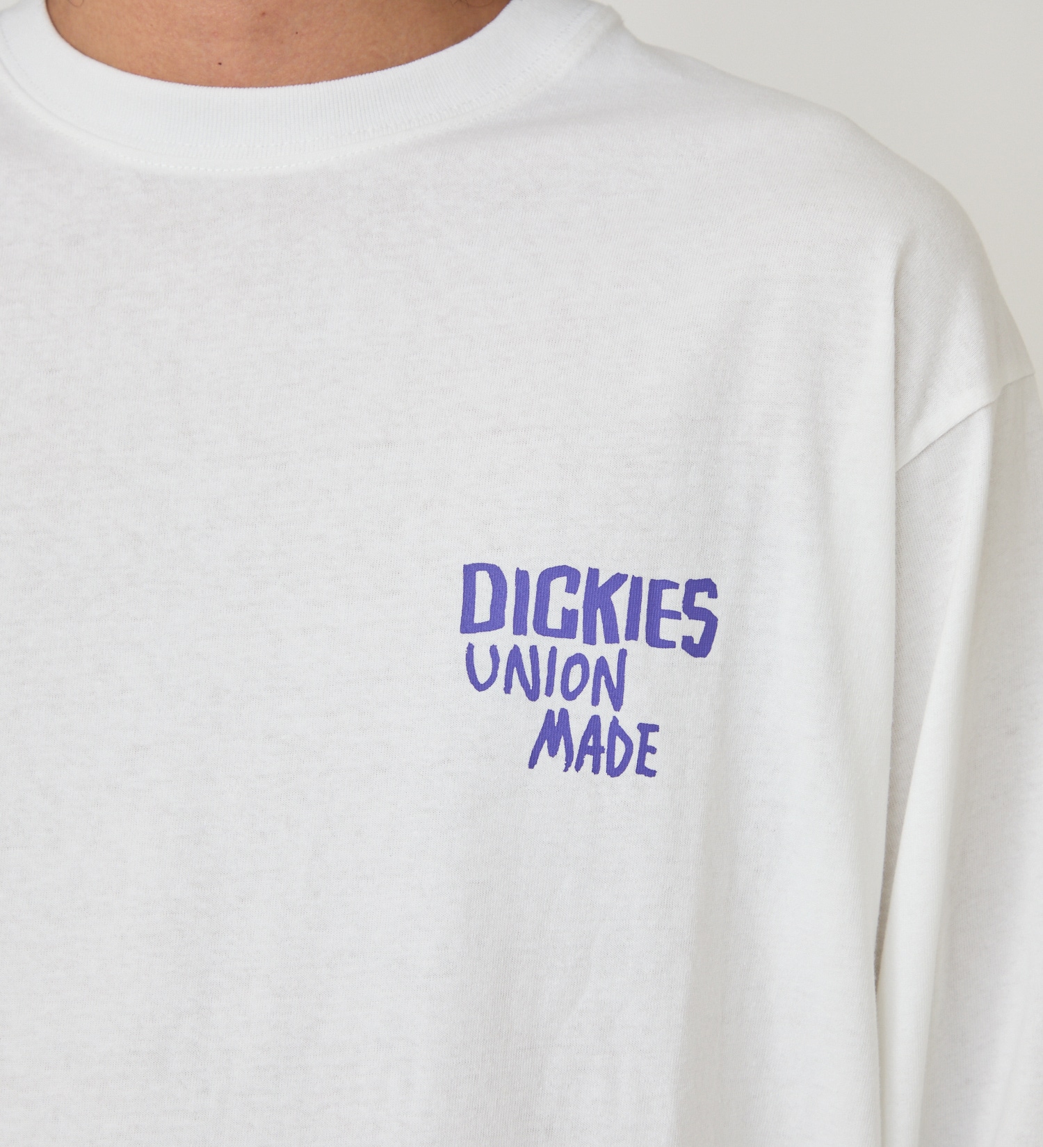 Dickies(ディッキーズ)のグラフィックロングスリーブTシャツS-2|トップス/Tシャツ/カットソー/メンズ|ホワイト