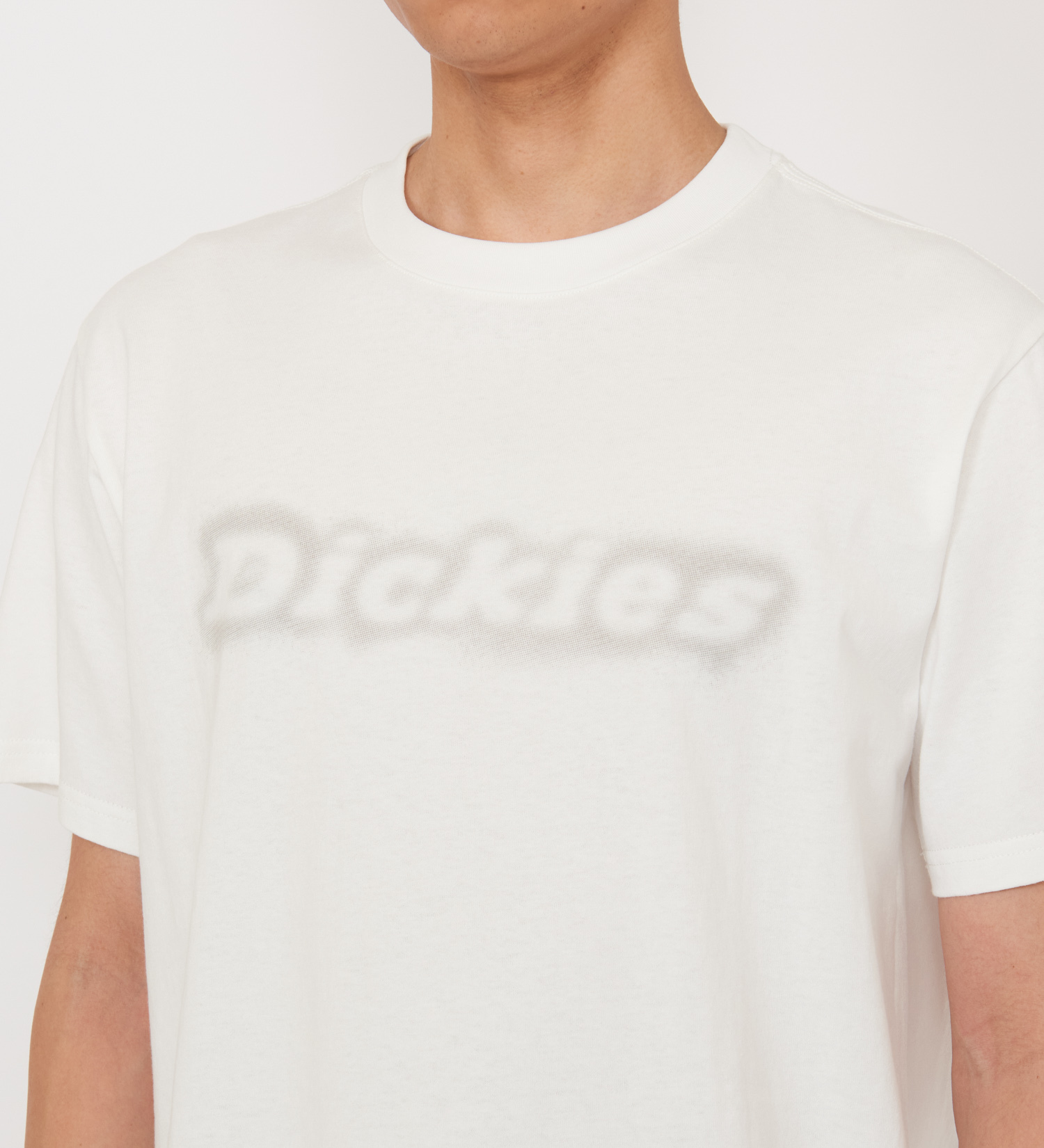 Dickies(ディッキーズ)のグラフィックTシャツ 半袖(Fuzzy Logo)|トップス/Tシャツ/カットソー/メンズ|ホワイト
