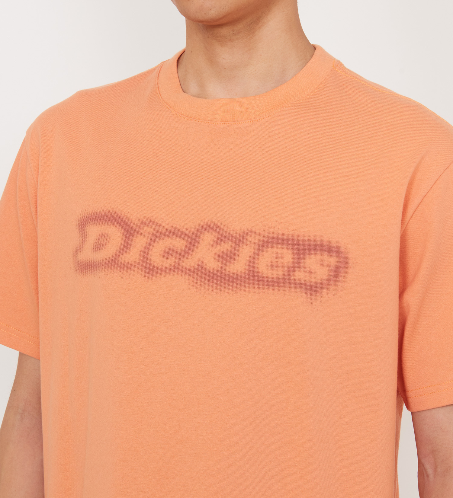 Dickies(ディッキーズ)のグラフィックTシャツ 半袖(Fuzzy Logo)|トップス/Tシャツ/カットソー/メンズ|オレンジ