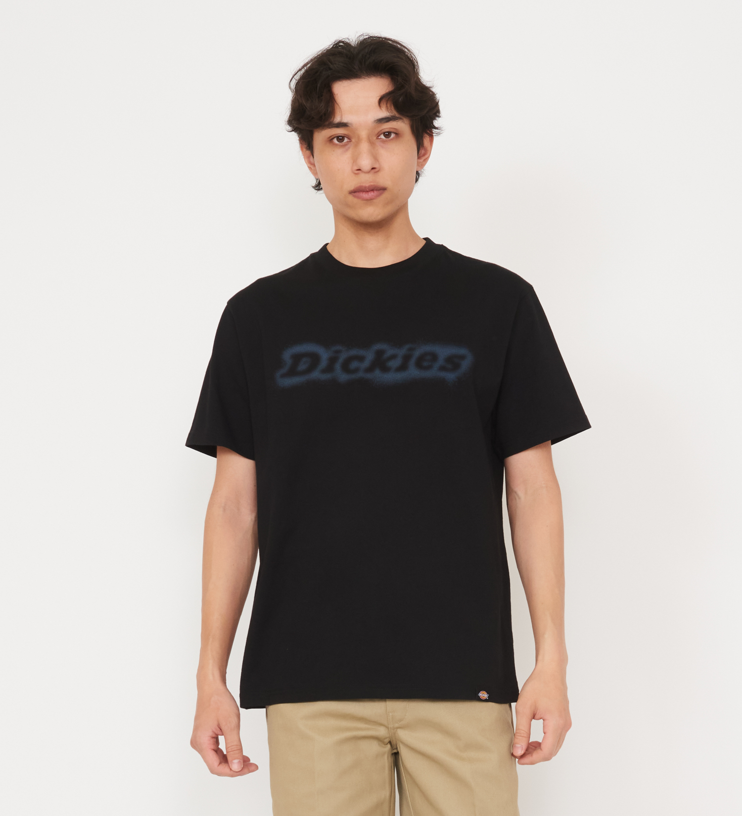 Dickies(ディッキーズ)のグラフィックTシャツ 半袖(Fuzzy Logo)|トップス/Tシャツ/カットソー/メンズ|ブラック