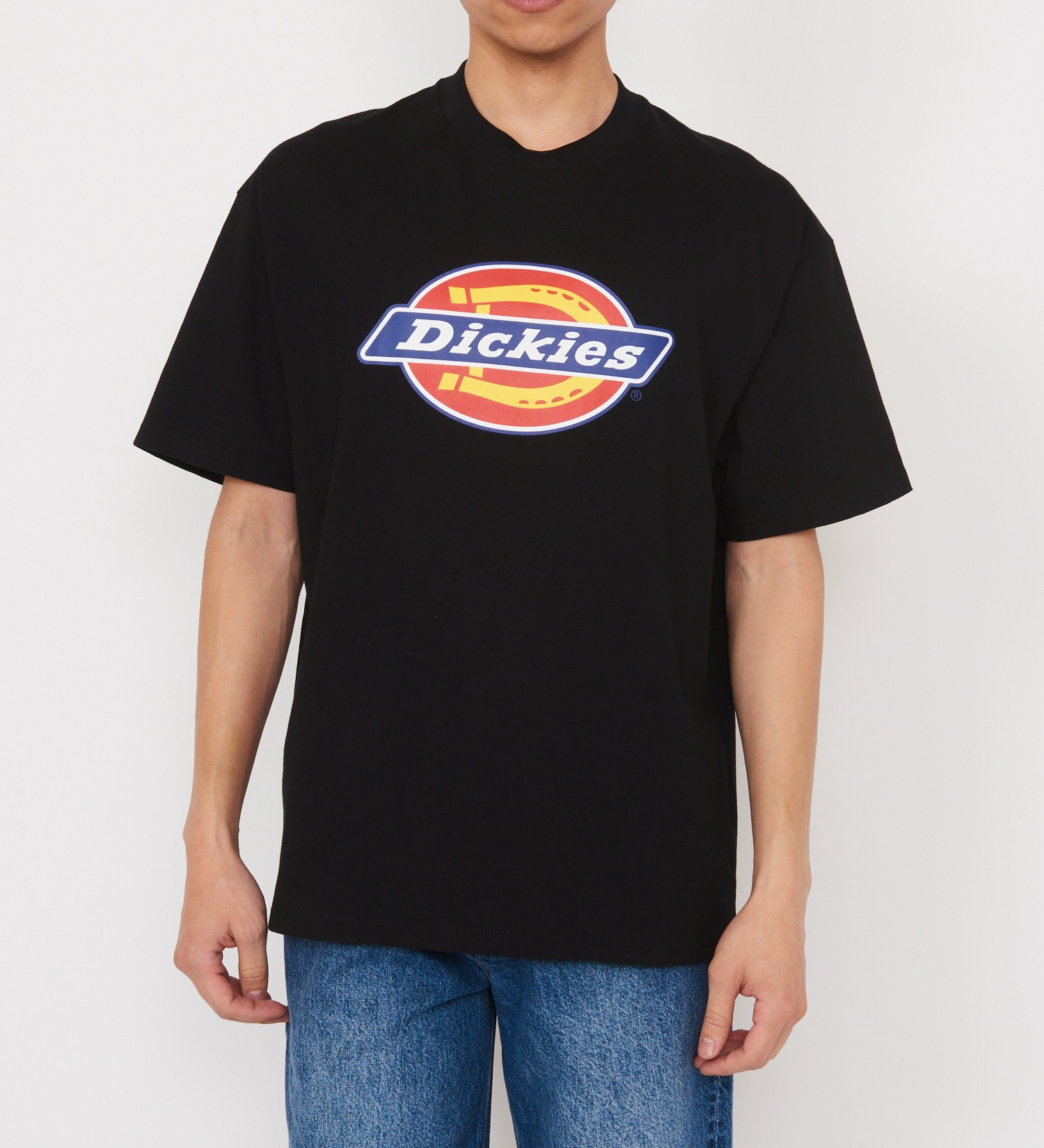 Dickies(ディッキーズ)のDickies　フルカラーロゴTシャツ　半袖|トップス/Tシャツ/カットソー/メンズ|ブラック