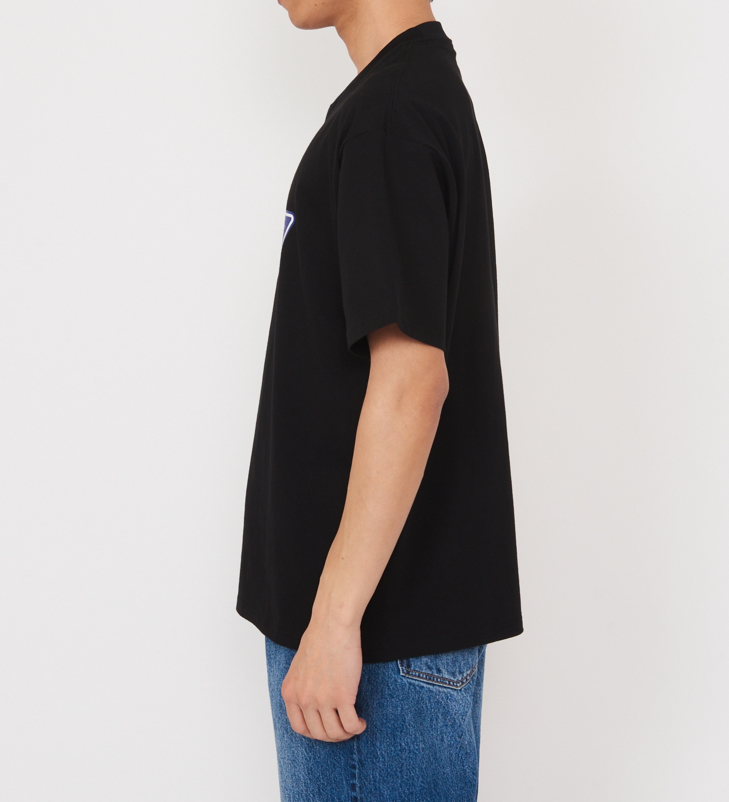 Dickies(ディッキーズ)のDickies　フルカラーロゴTシャツ　半袖|トップス/Tシャツ/カットソー/メンズ|ブラック