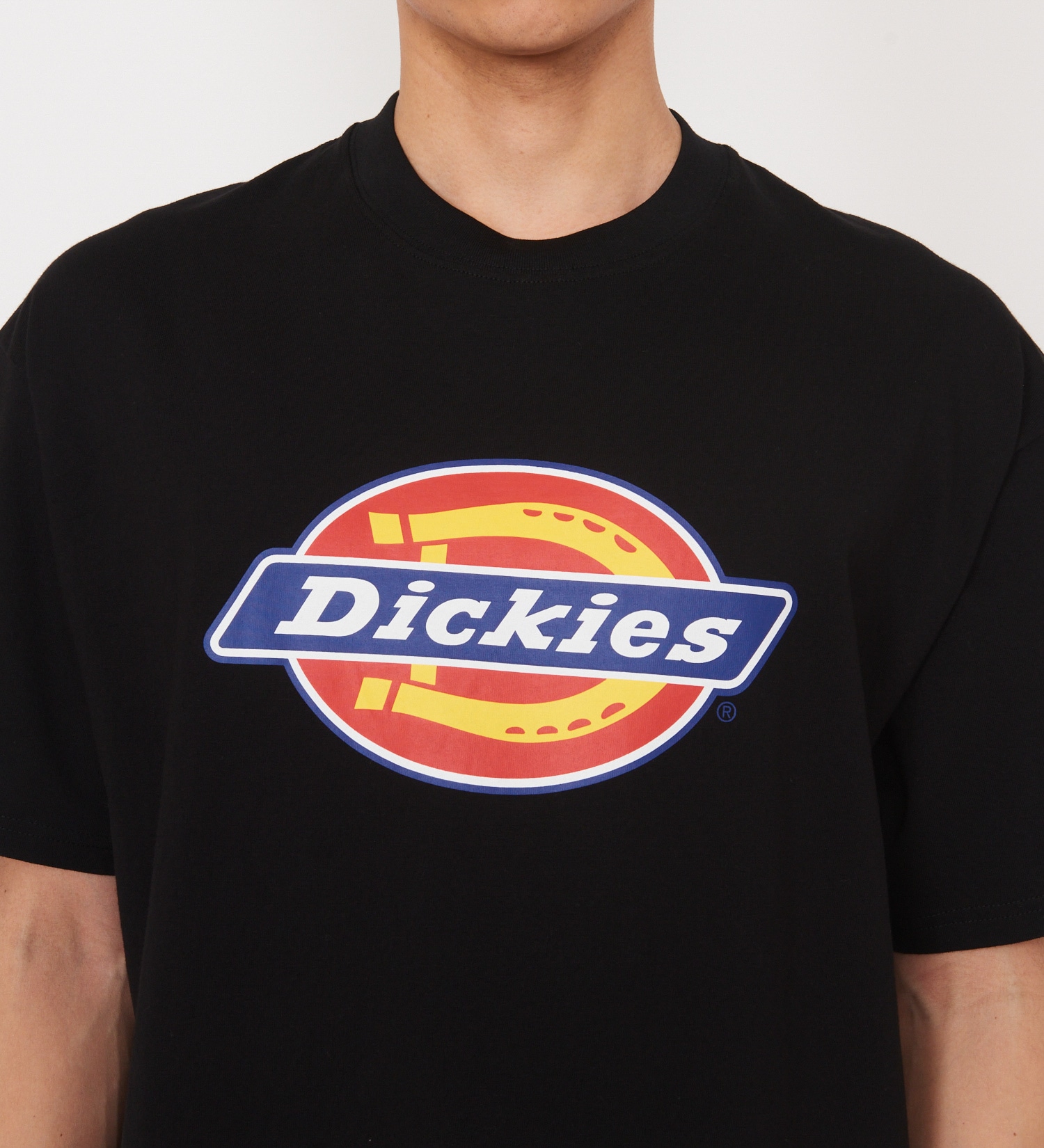 Dickies(ディッキーズ)のDickies　フルカラーロゴTシャツ　半袖|トップス/Tシャツ/カットソー/メンズ|ブラック