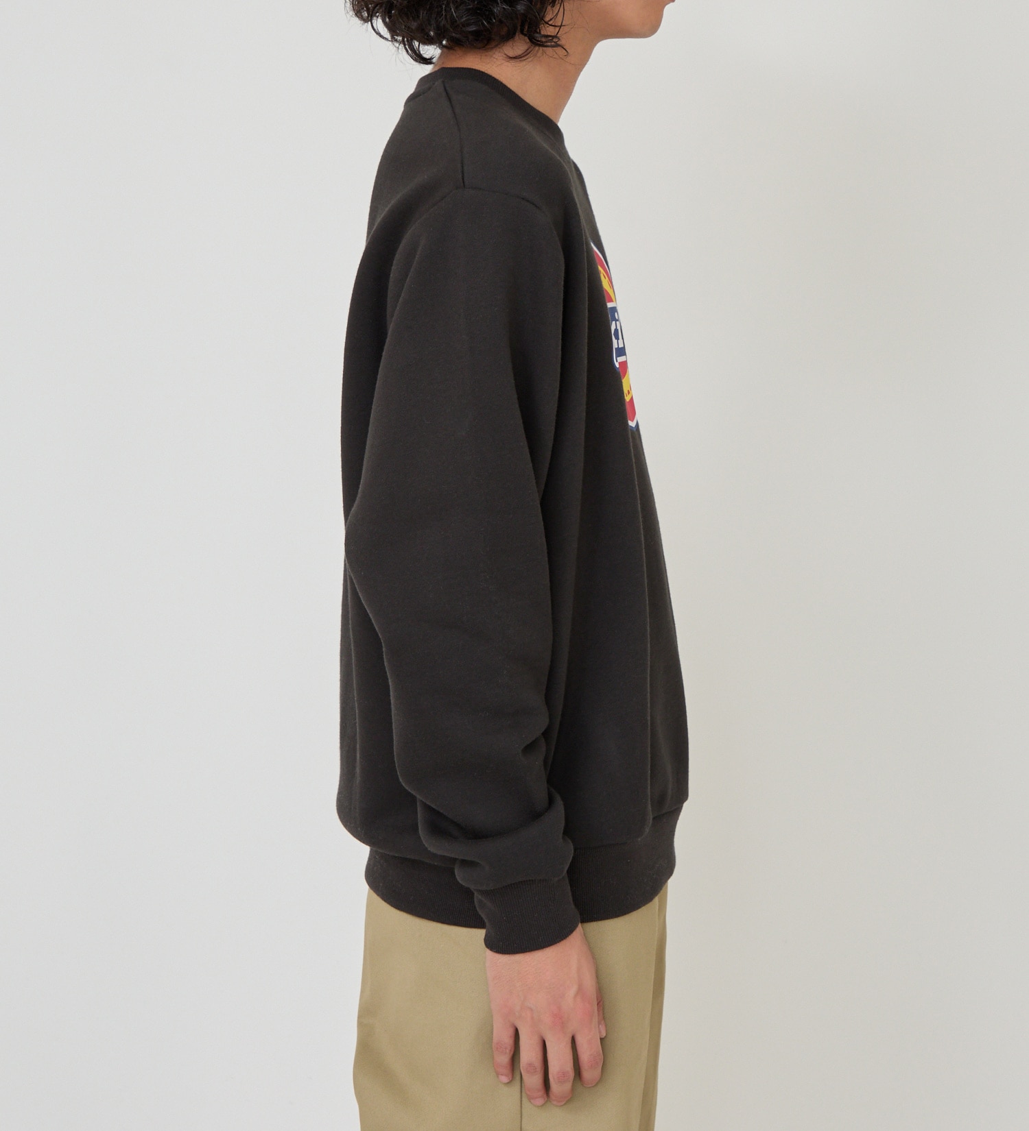 Dickies(ディッキーズ)のロゴクルーネックスウェット|トップス/スウェット/メンズ|ブラック