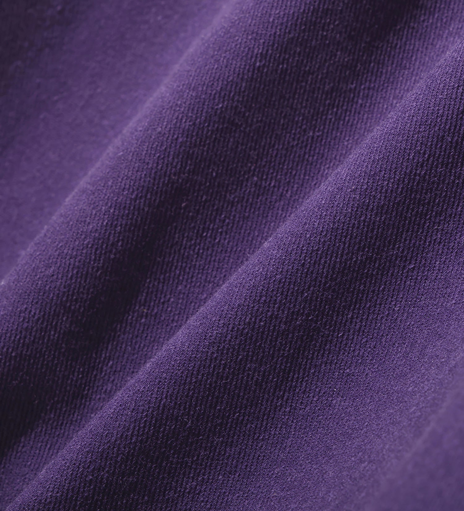 Dickies(ディッキーズ)の【Dickies x GRIPSWANY】EASY GEAR BUGGY SHORTS|パンツ/パンツ/メンズ|パープル